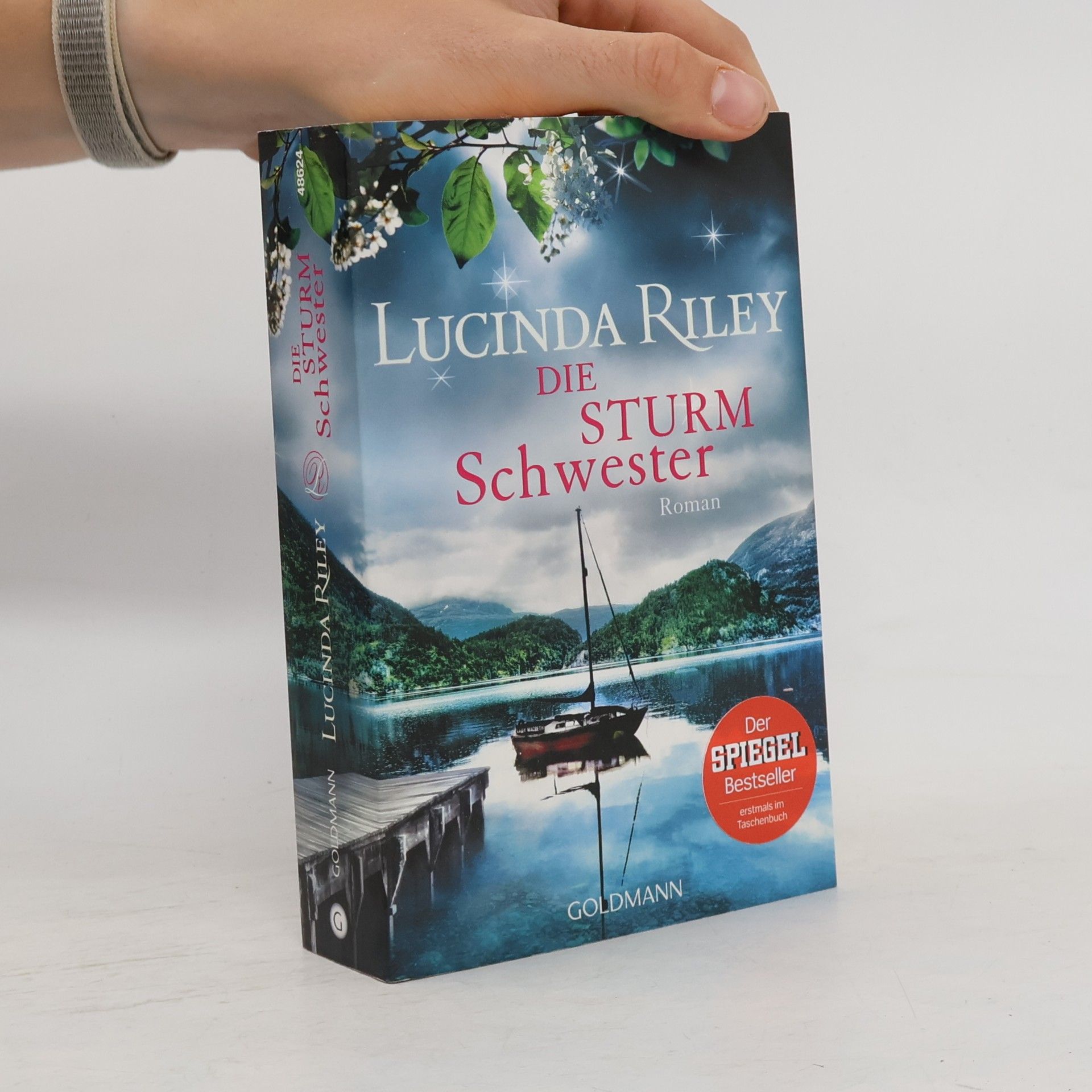 Lucinda Riley Die Sturmschwester