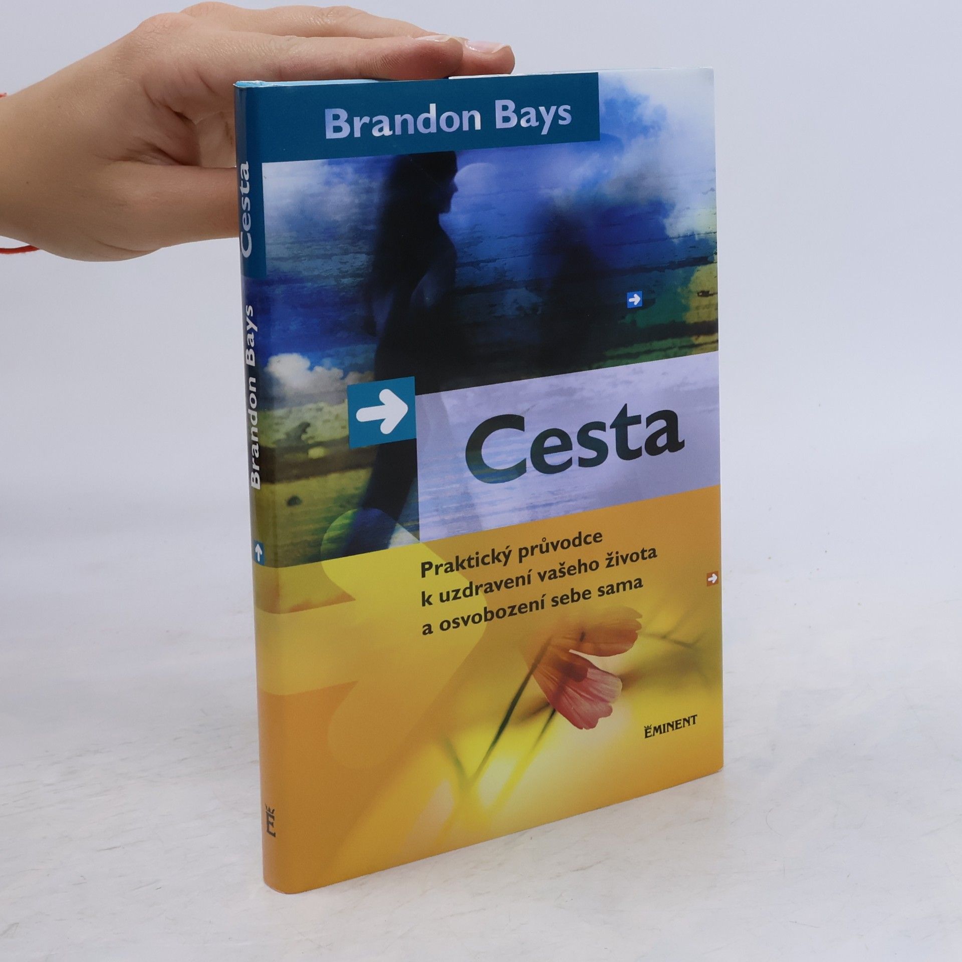 Brandon Bays Cesta