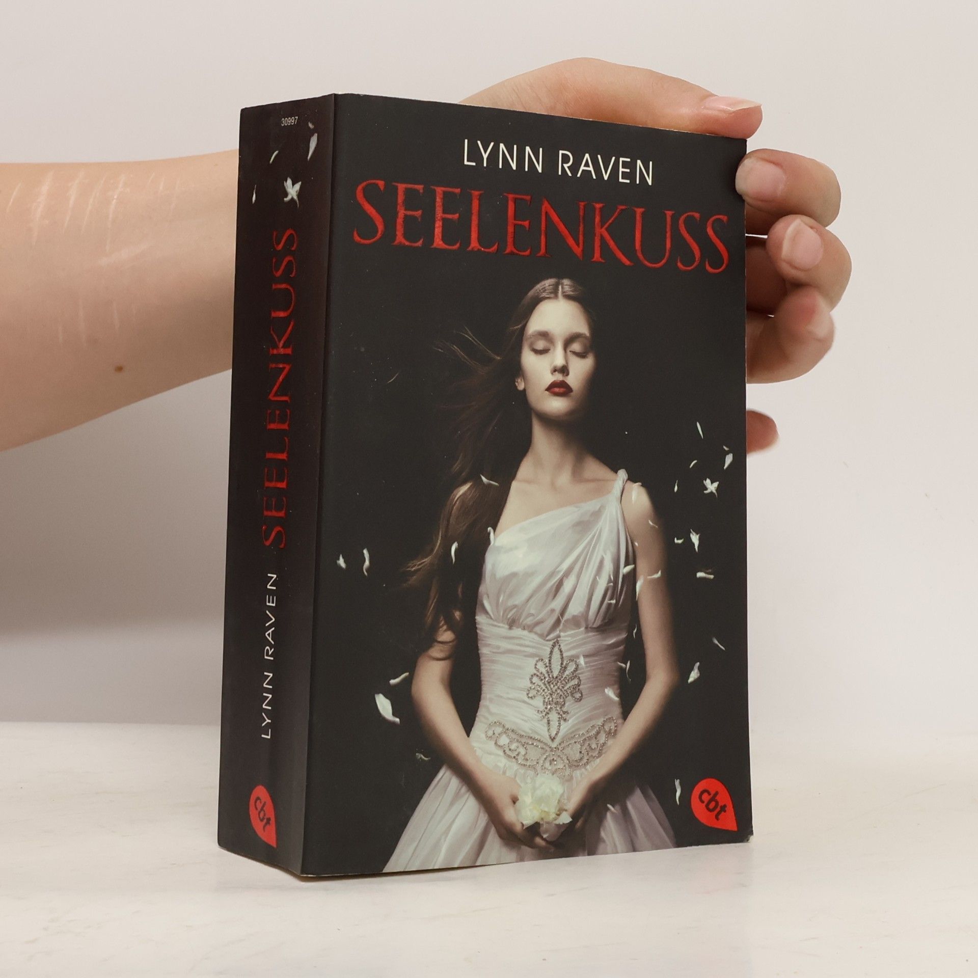 Lynn Raven Seelenkuss