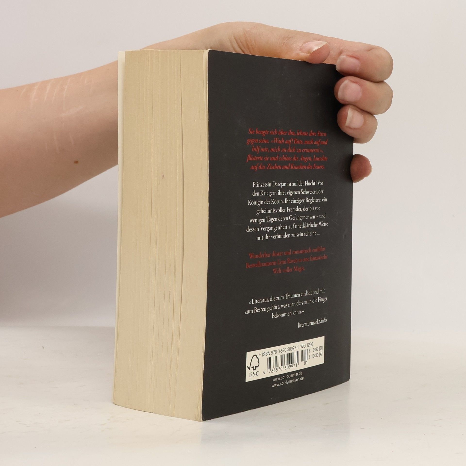 Lynn Raven Seelenkuss