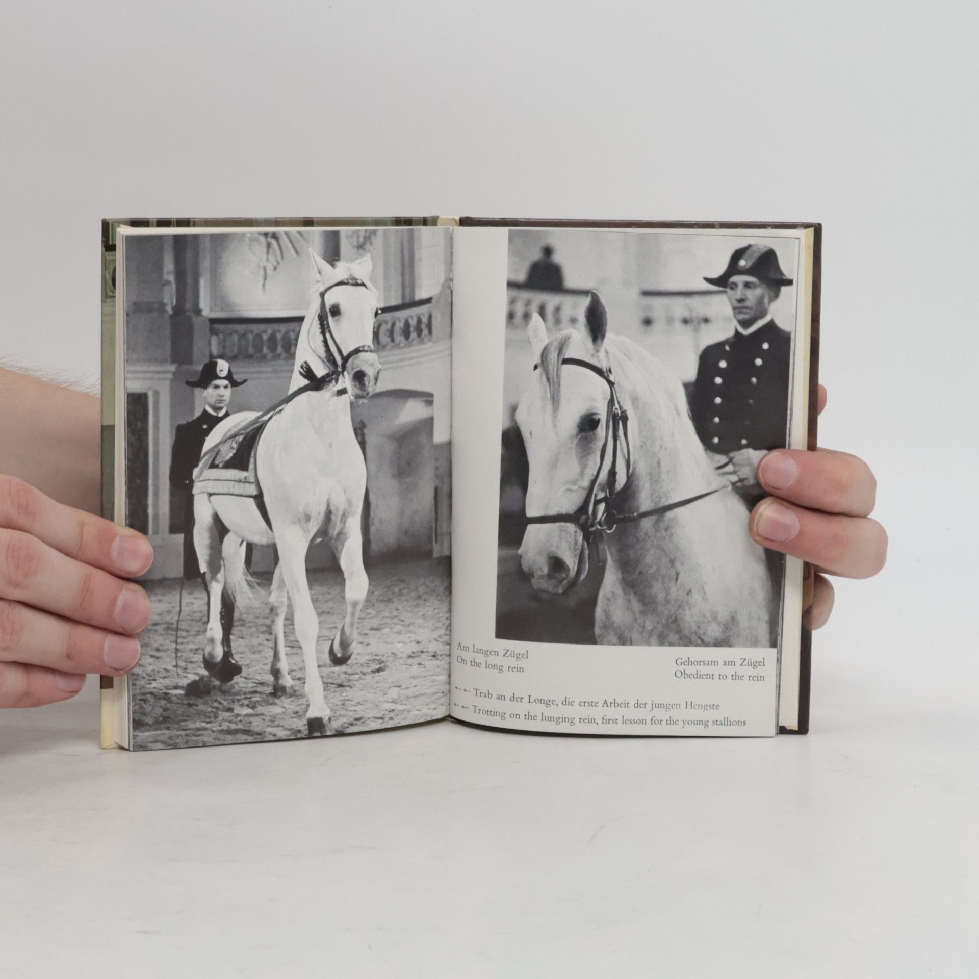 Autorenkollektiv Lipizzaner und Spanische Reitschule