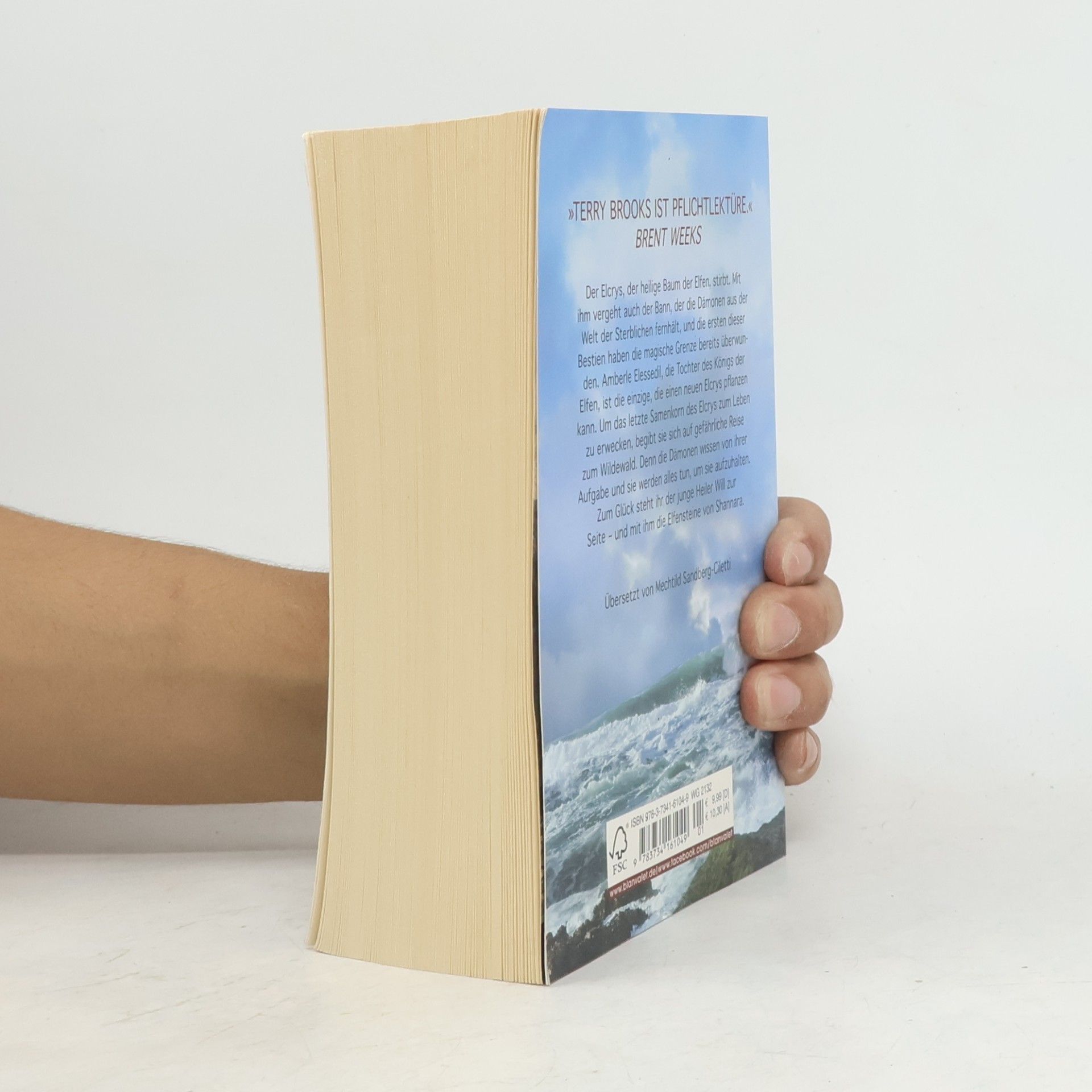 Terry Brooks Die Shannara-Chroniken. Elfensteine.
