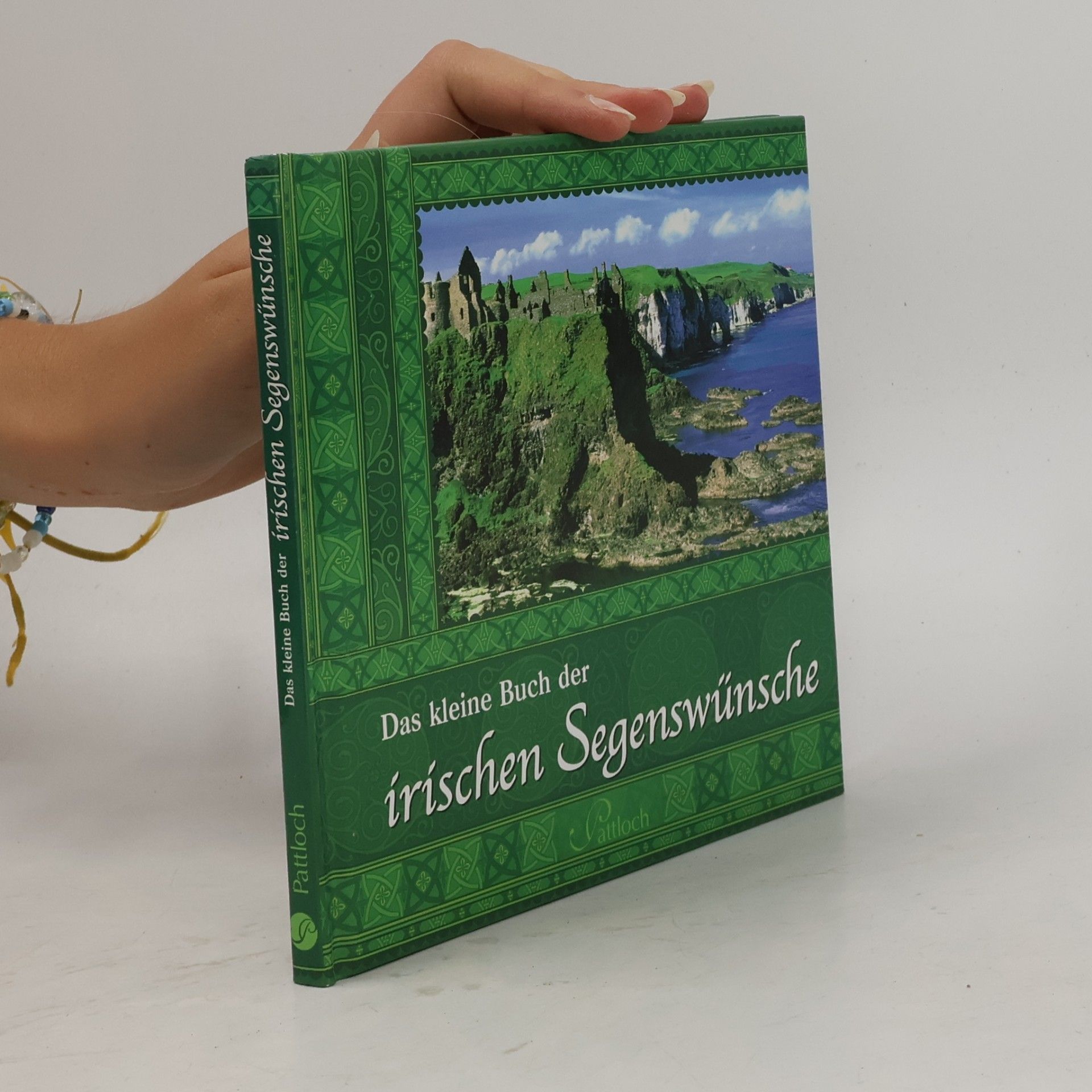 Sylvie Busche Das kleine Buch der irischen Segenswuensc