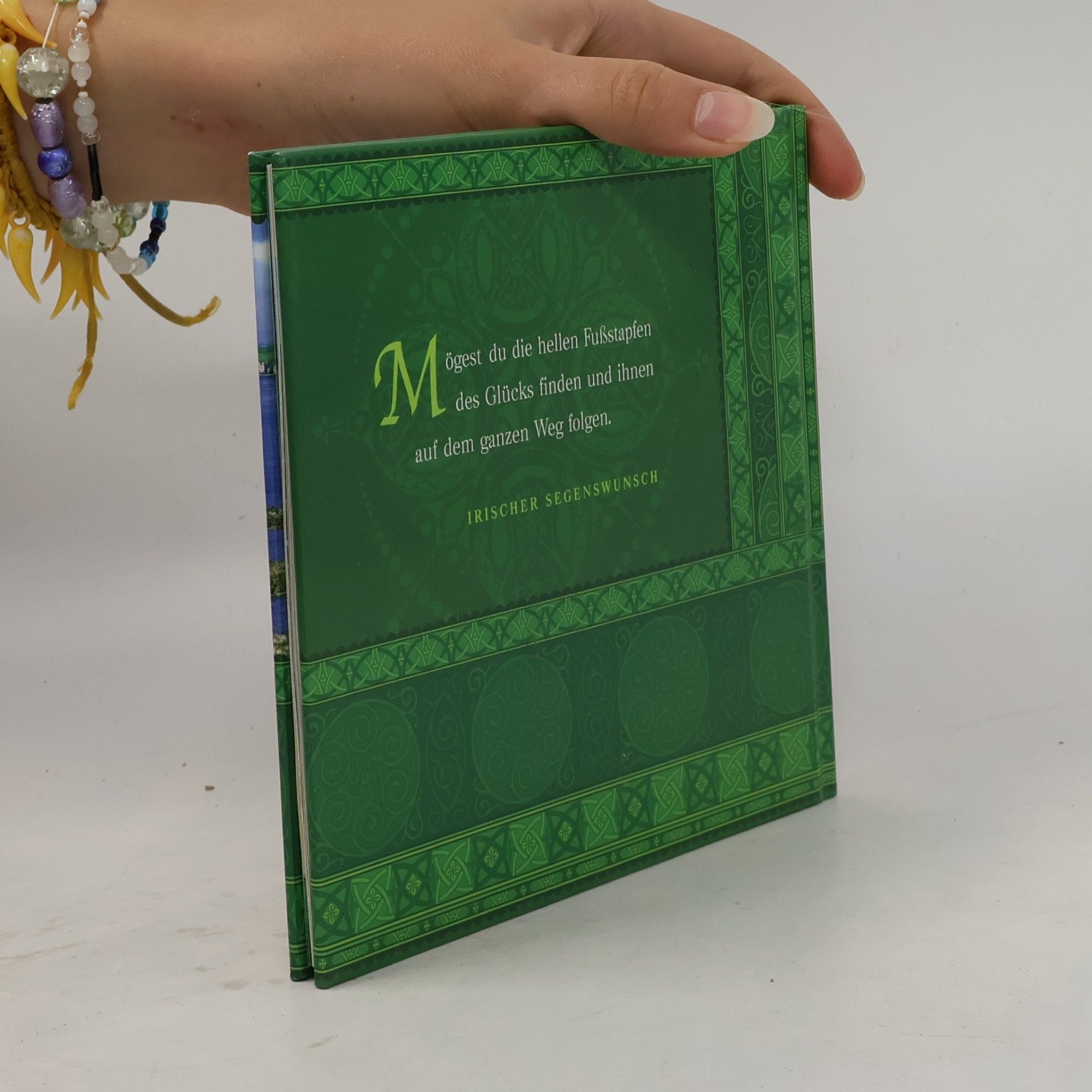 Sylvie Busche Das kleine Buch der irischen Segenswuensc
