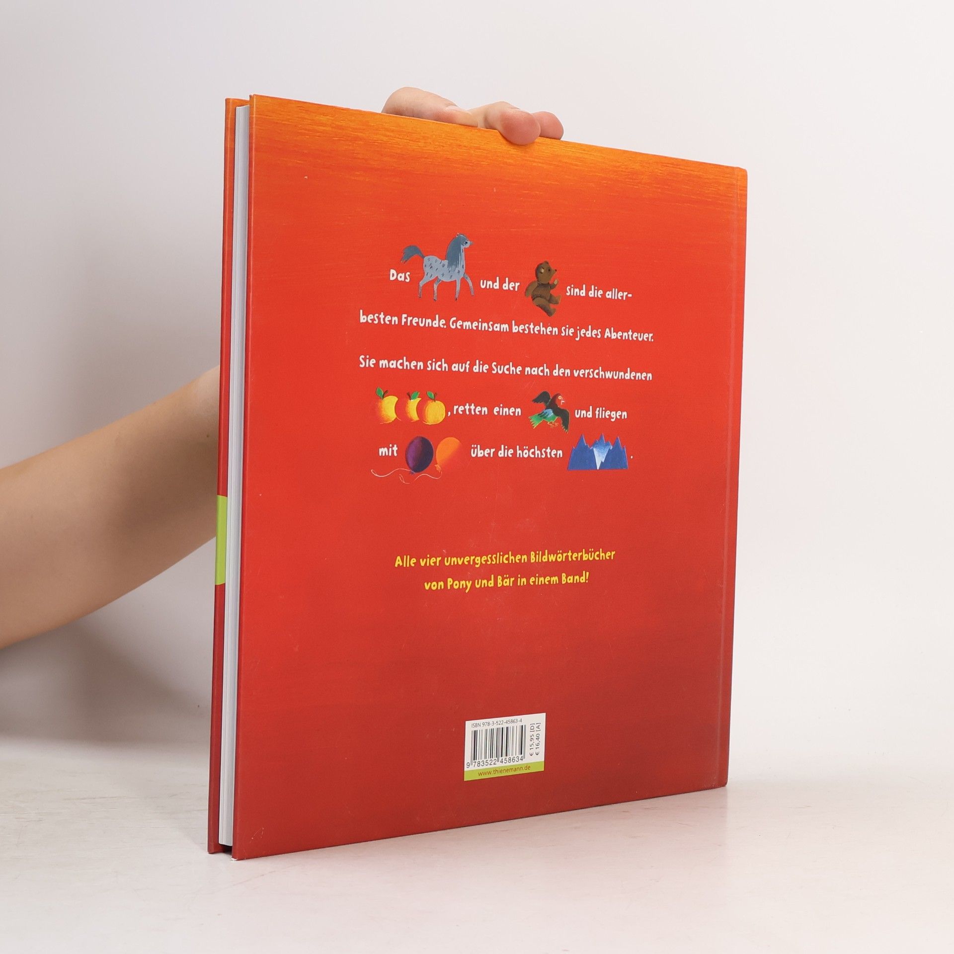 Sigrid Heuck Das große Buch von Pony, Bär und Apfelbaum