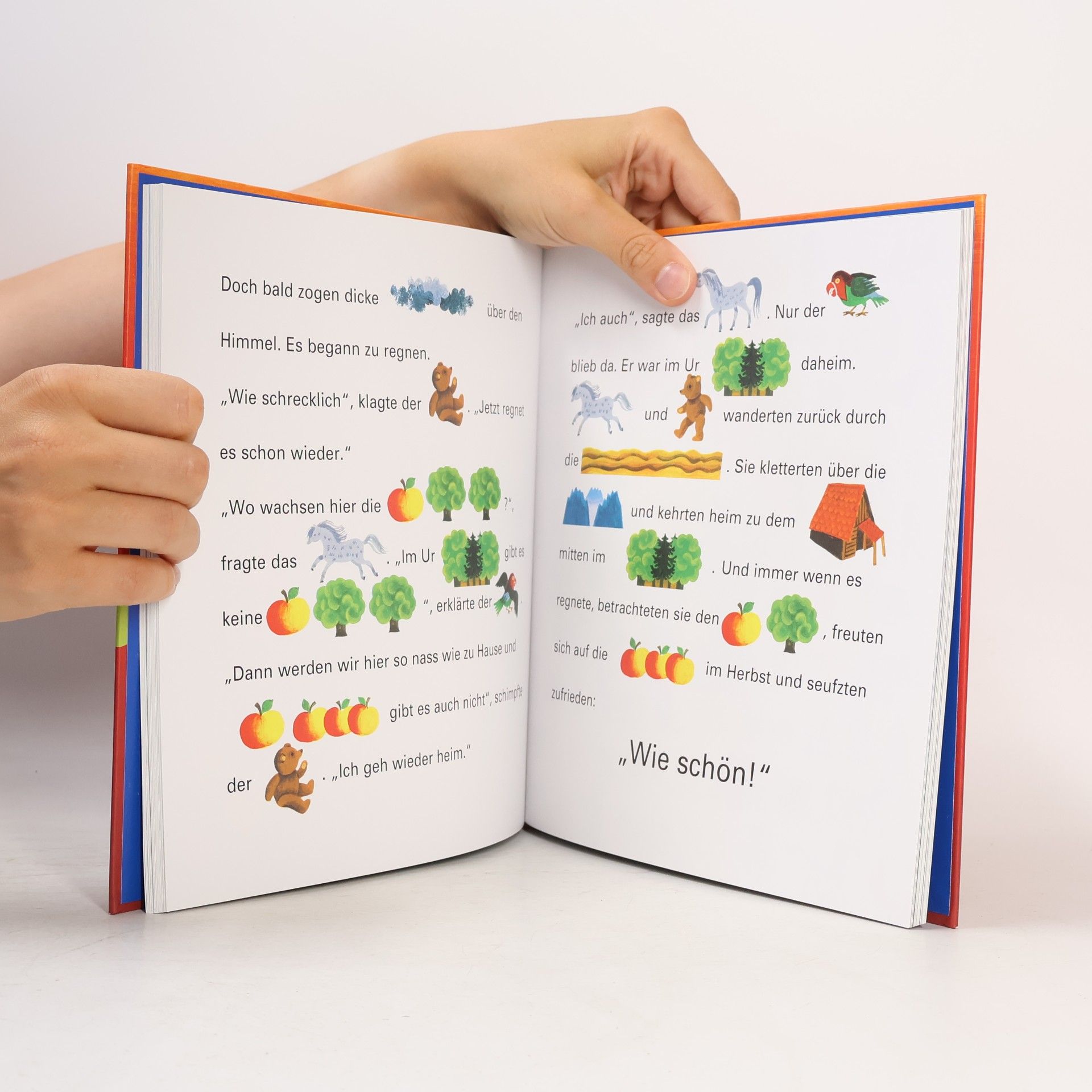Sigrid Heuck Das große Buch von Pony, Bär und Apfelbaum