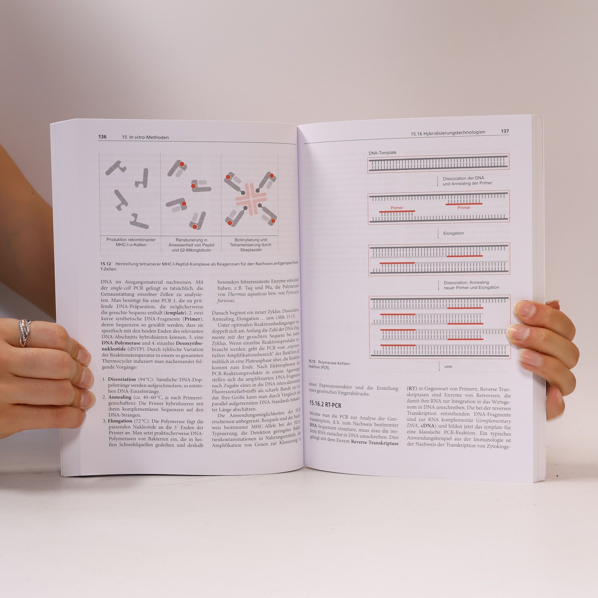 Christine Schütt Grundwissen Immunologie