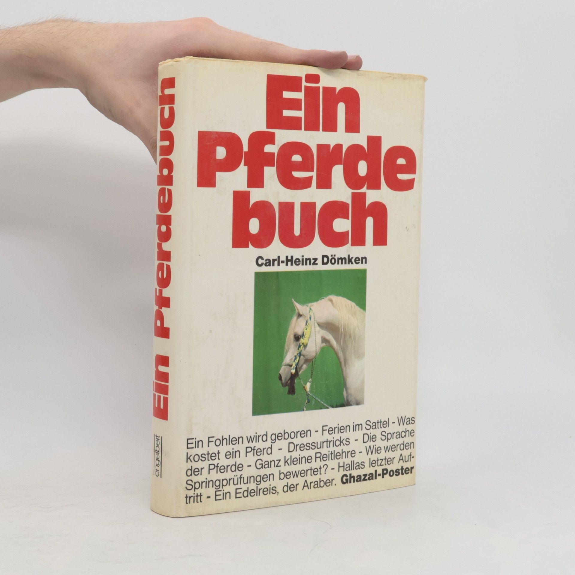 Carl-Heinz Dömken Ein Pferdebuch