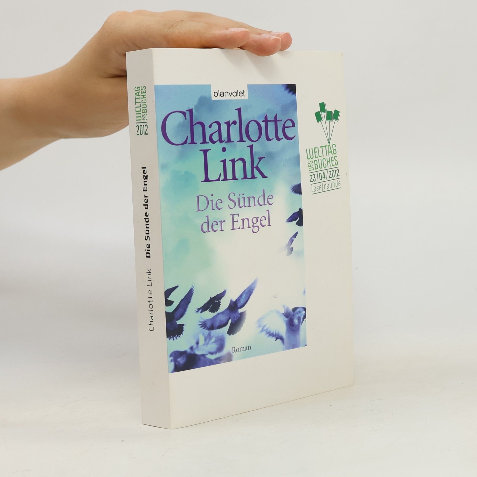 Charlotte Link Die Sünde der Engel