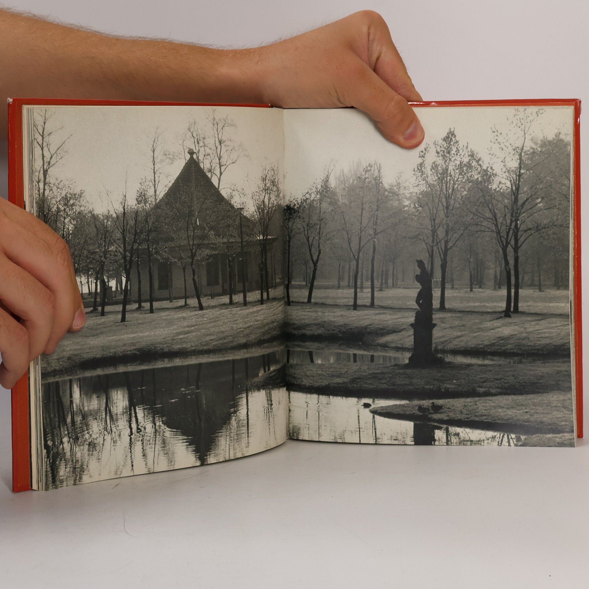 Klaus Steindorf Sabath Schwerin. Bildband