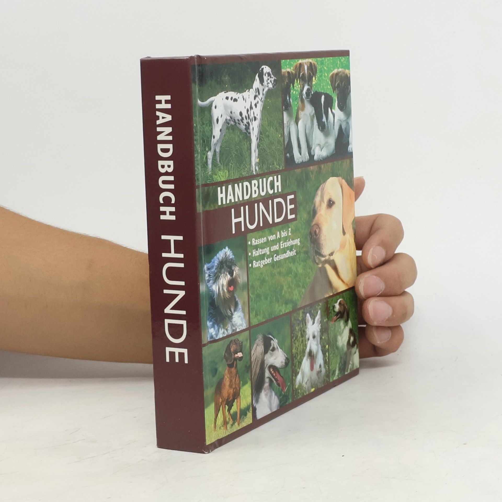 Auteurscollectief Handbuch Hunde