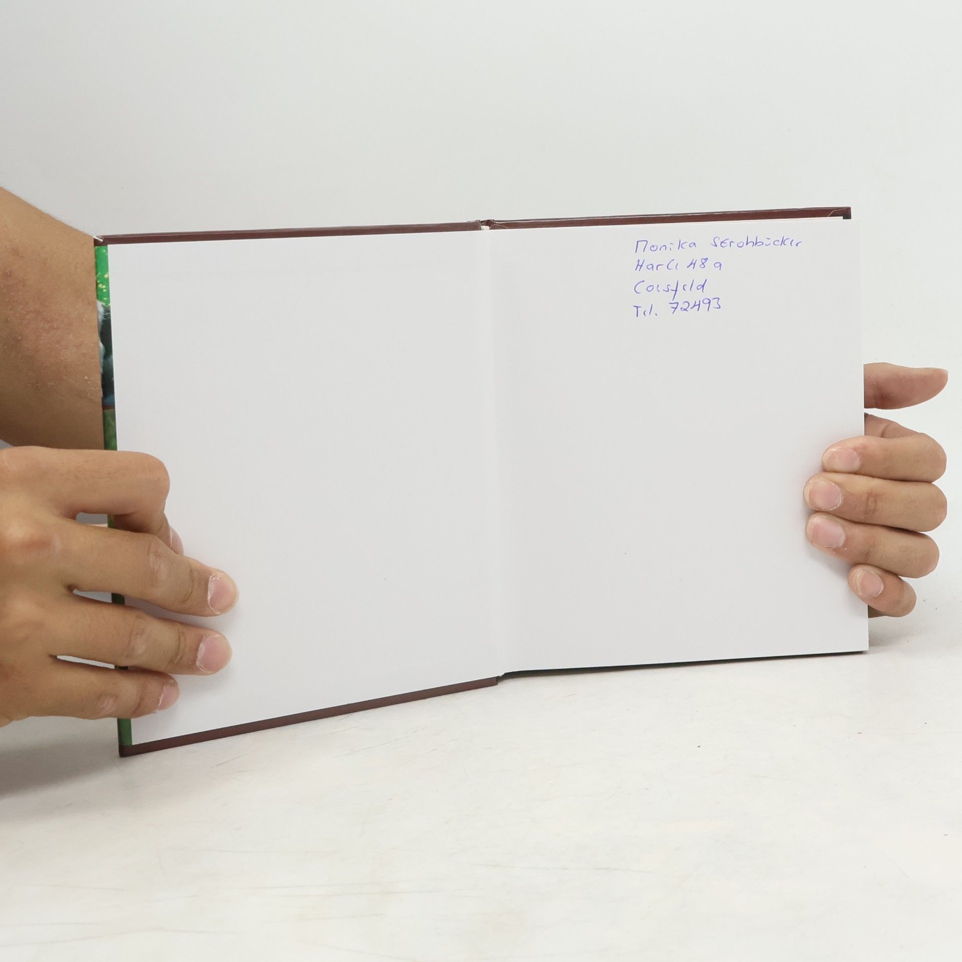 Auteurscollectief Handbuch Hunde