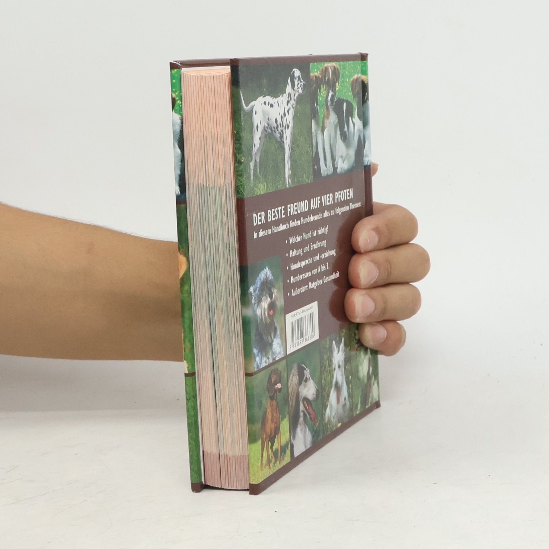 Auteurscollectief Handbuch Hunde