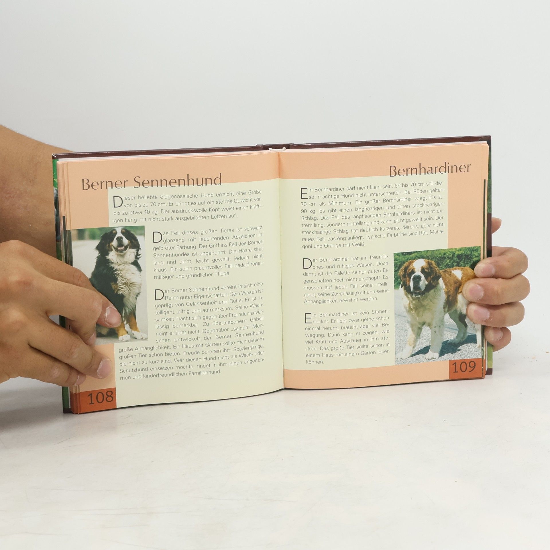 Auteurscollectief Handbuch Hunde