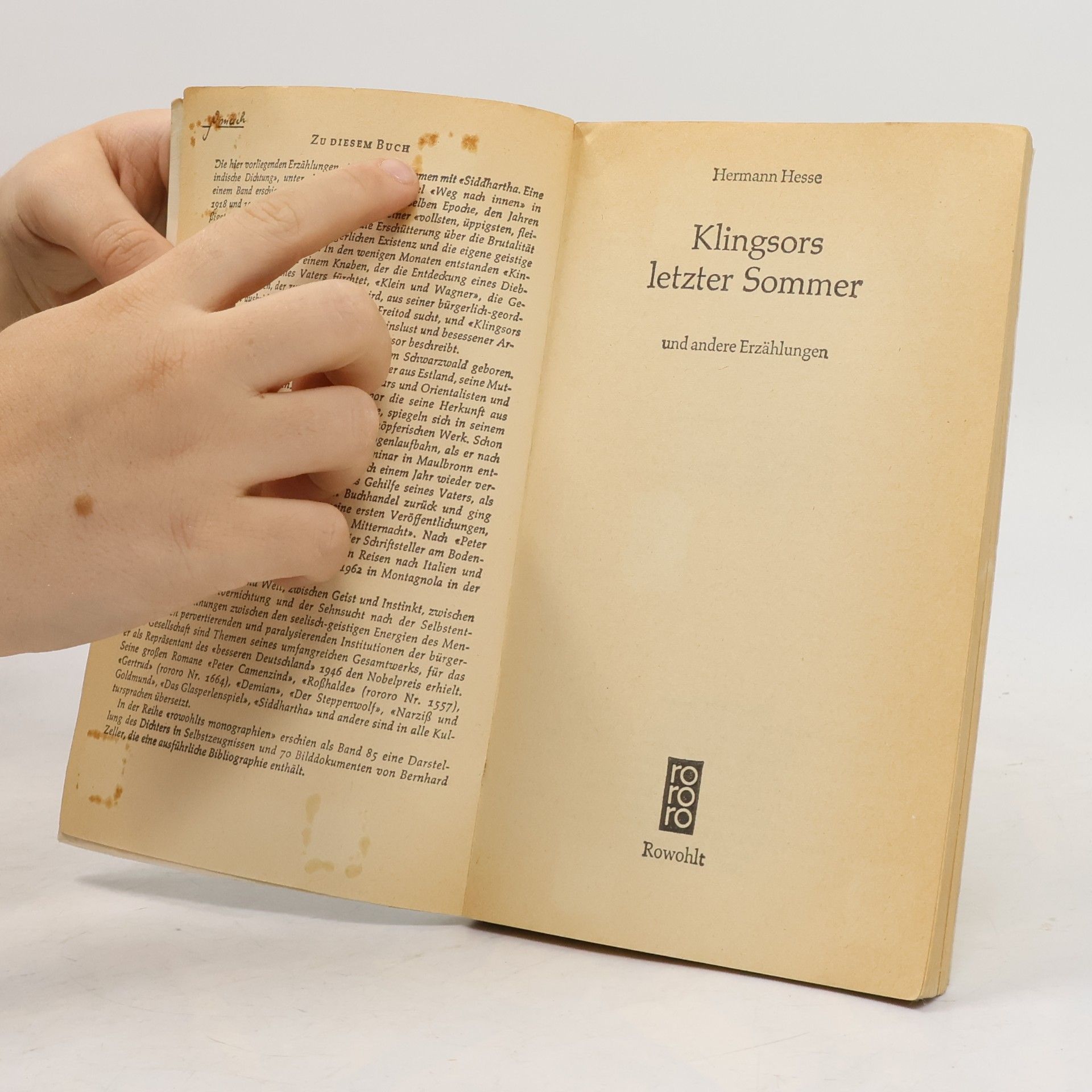 Hermann Hesse Klingsors letzter Sommer: und andere Erzählungen