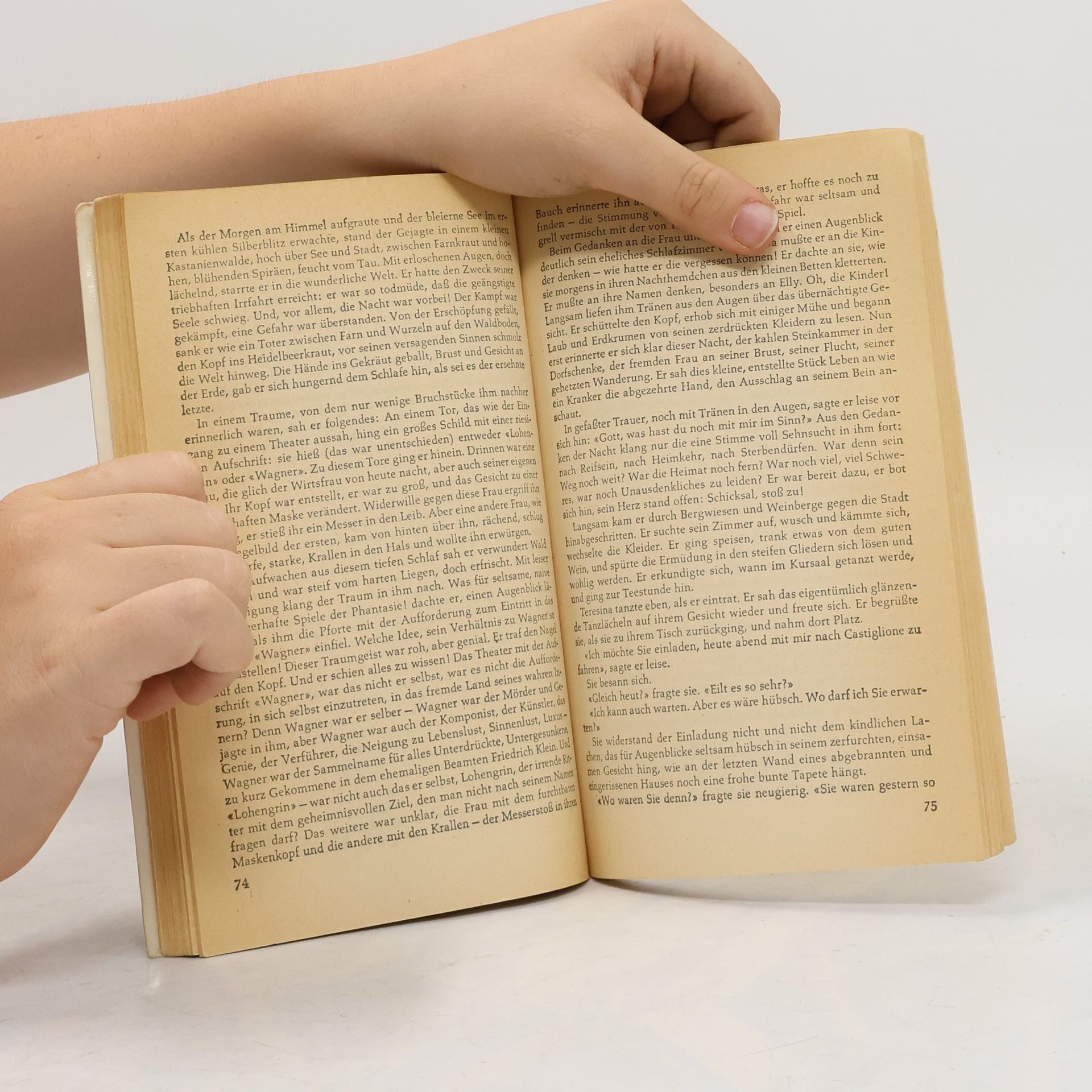 Hermann Hesse Klingsors letzter Sommer: und andere Erzählungen