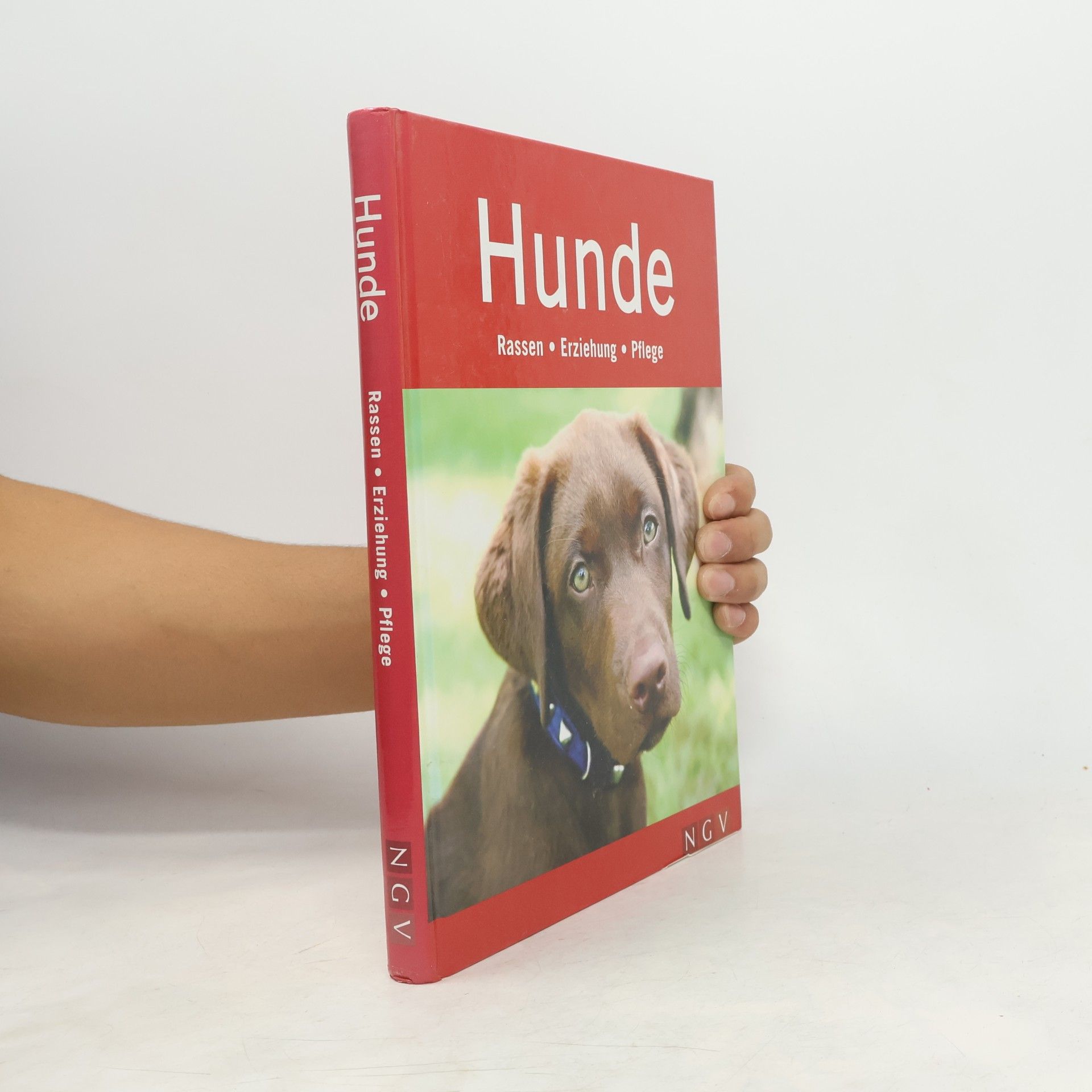 Barbara Willms Hunde