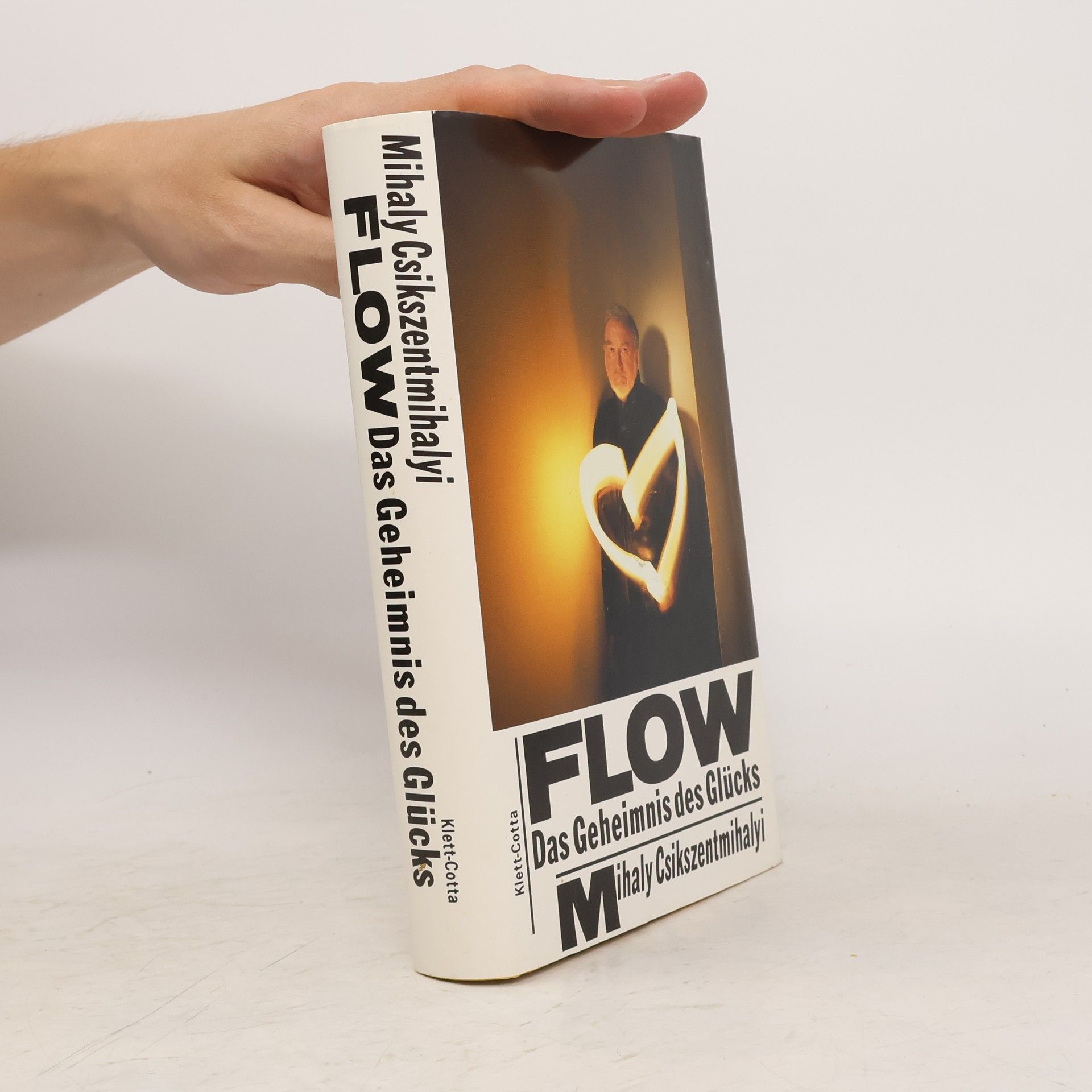 Mihaly Csikszentmihalyi FLOW Das Geheimnis des Glücks