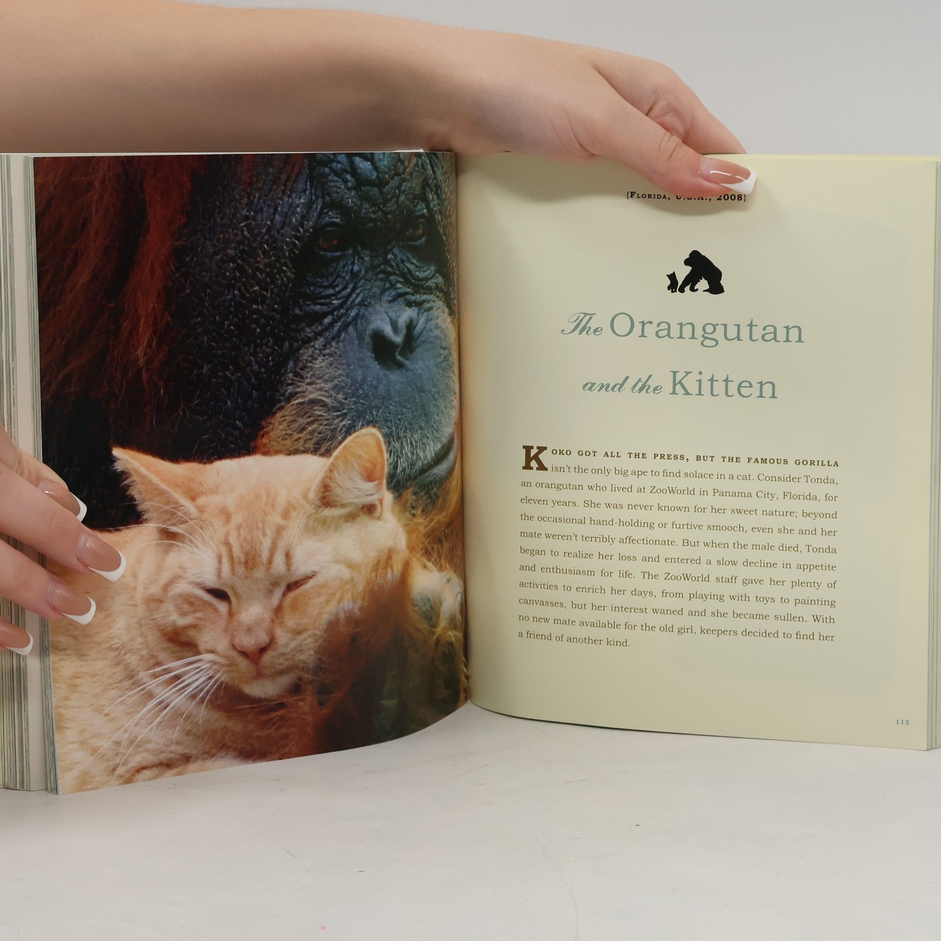 Jennifer Holland Unlikely Friendships: 47 Remarkable Stories from the Animal Kingdom