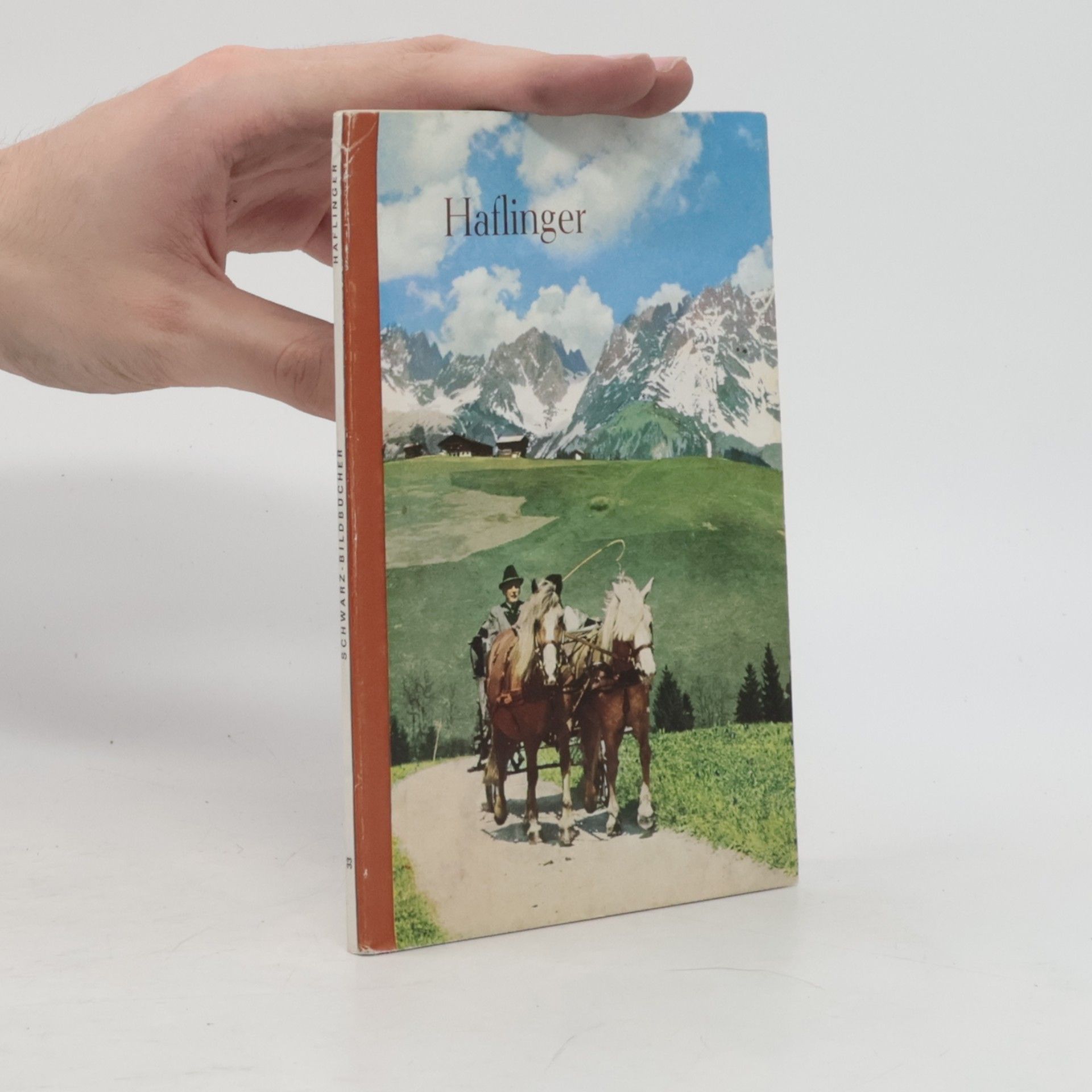 Haflinger