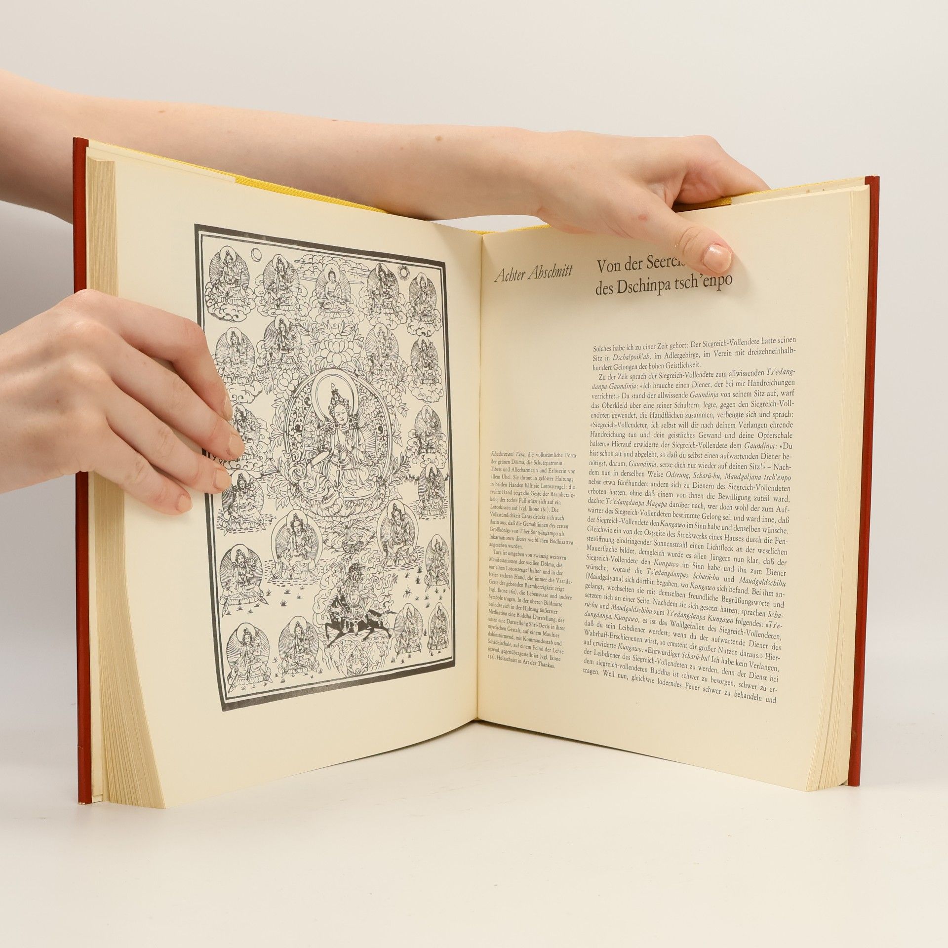 Gustav Kiepenheuer Verlag Der Weise und der Tor: Buddhistische Legenden
