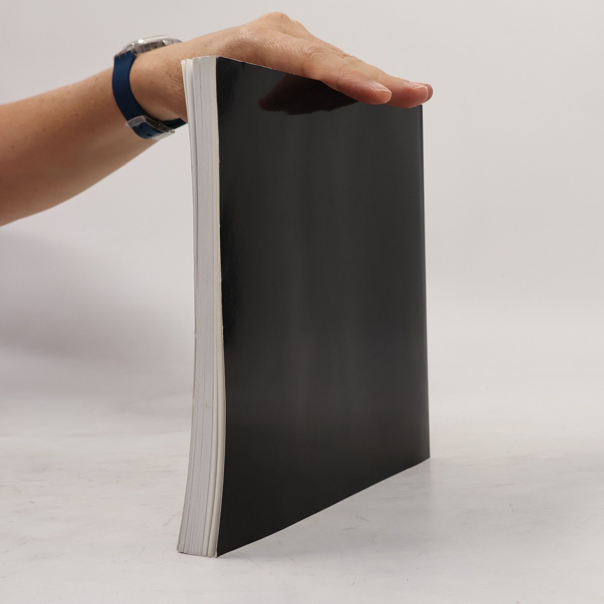 Kolektiv autorů Vincenz Priessnitz (1799-1851) : almanach k 200. výročí narození