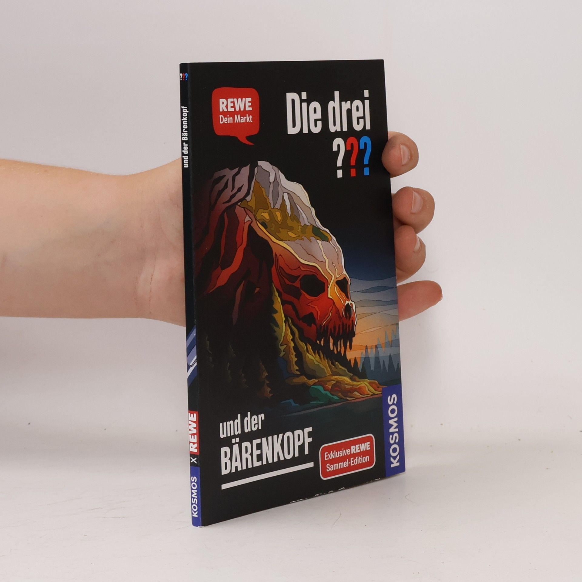 Andreas Ruch Die drei ??? und der Bärenkopf