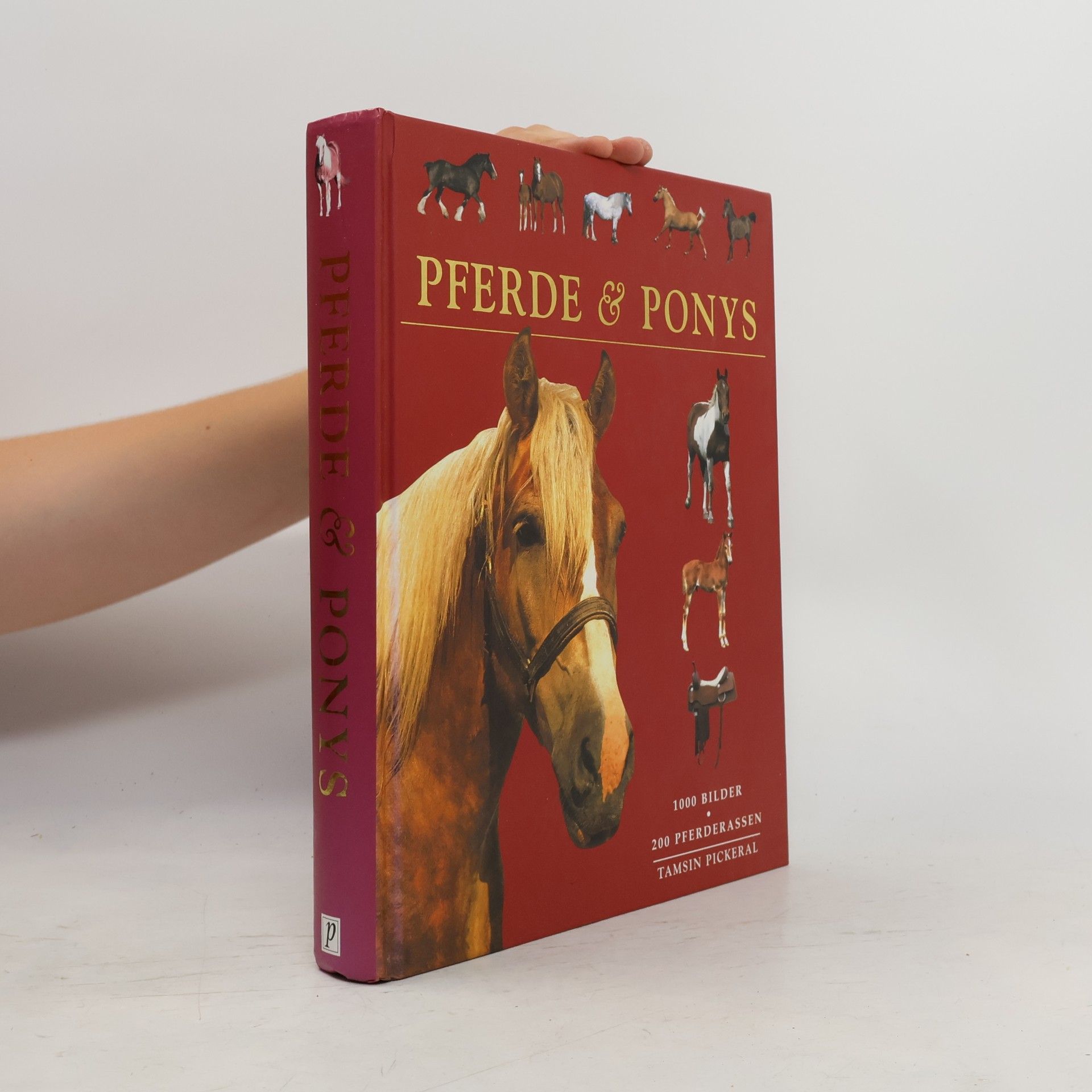 Tam Pickeral Pferde & Ponys