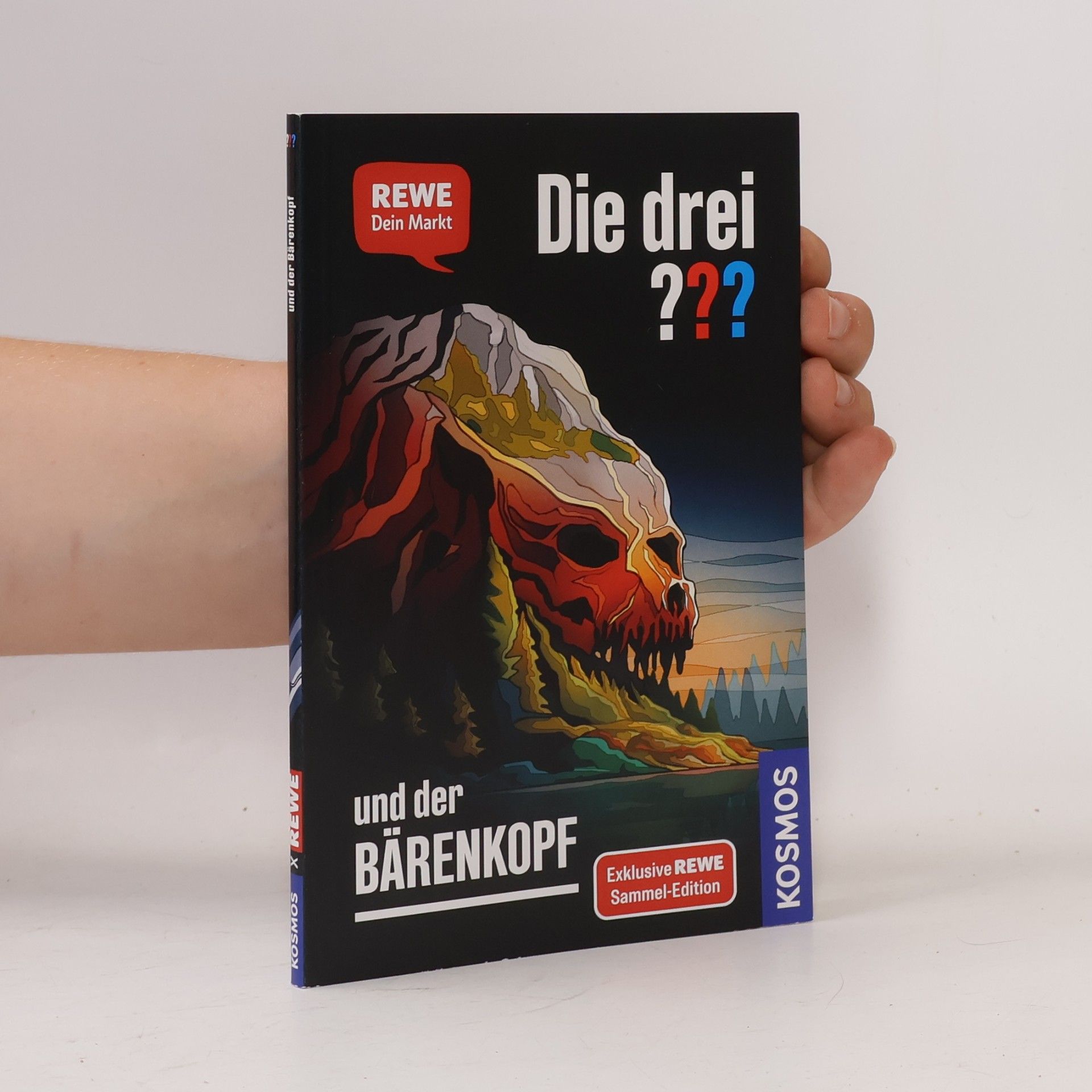 Andreas Ruch Die drei ??? und der Bärenkopf