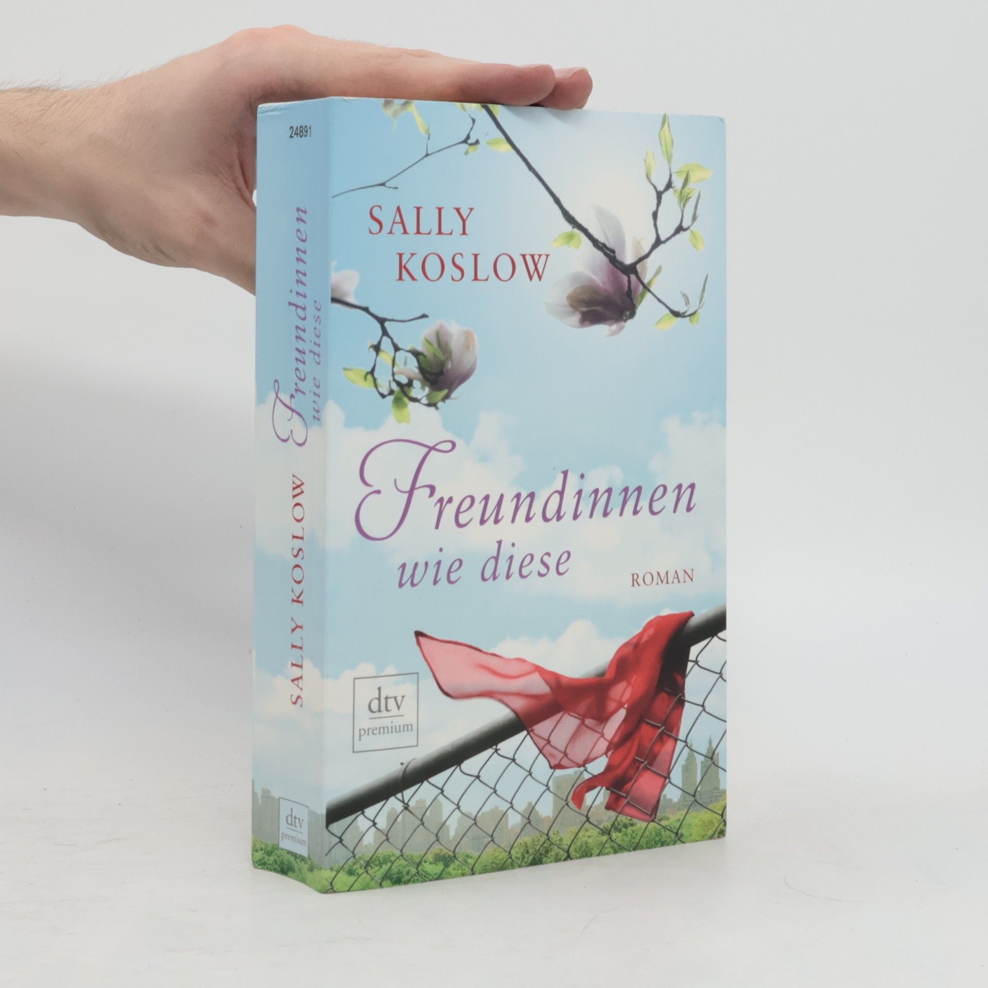 Freundinnen wie diese