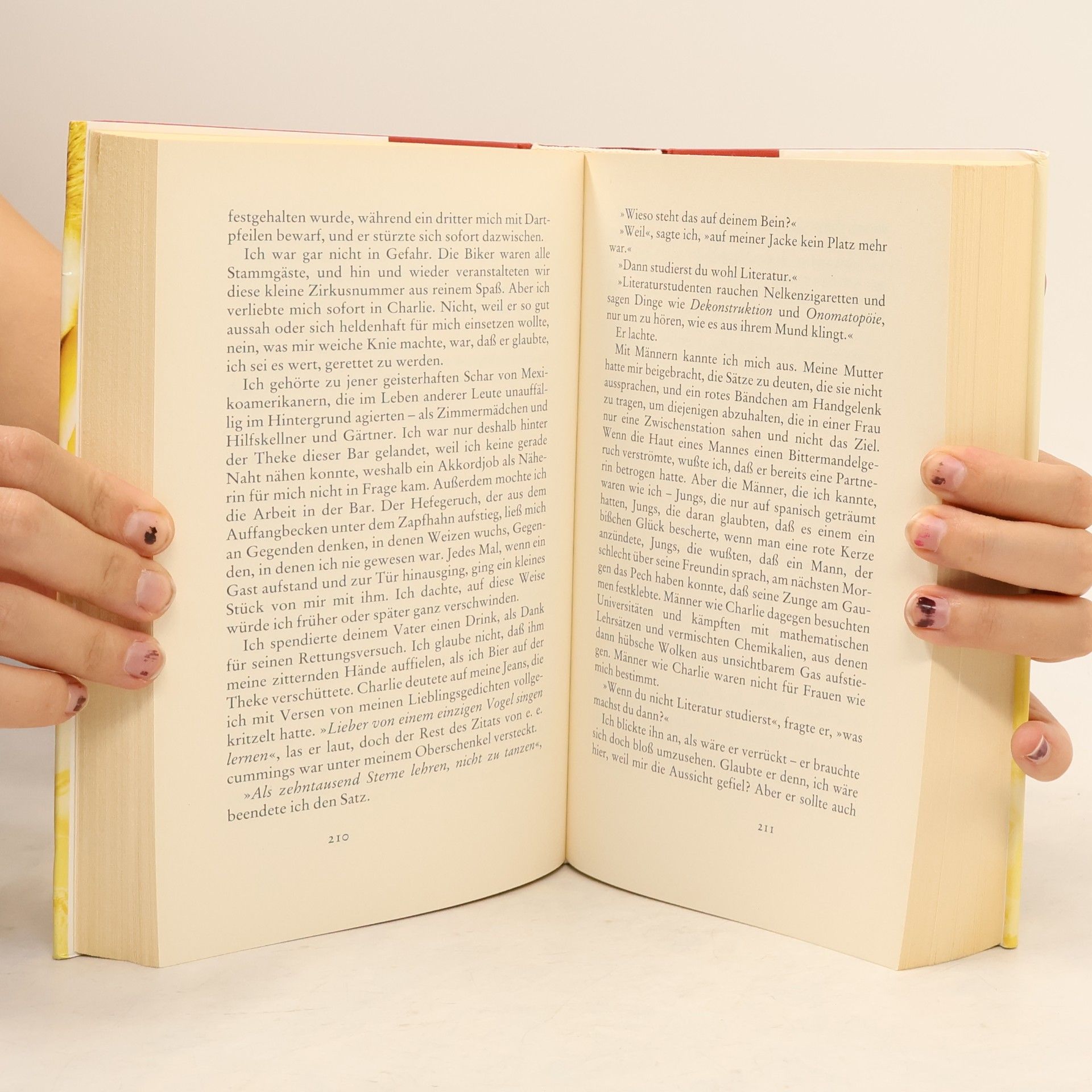 Jodi Picoult Die Wahrheit meines Vaters