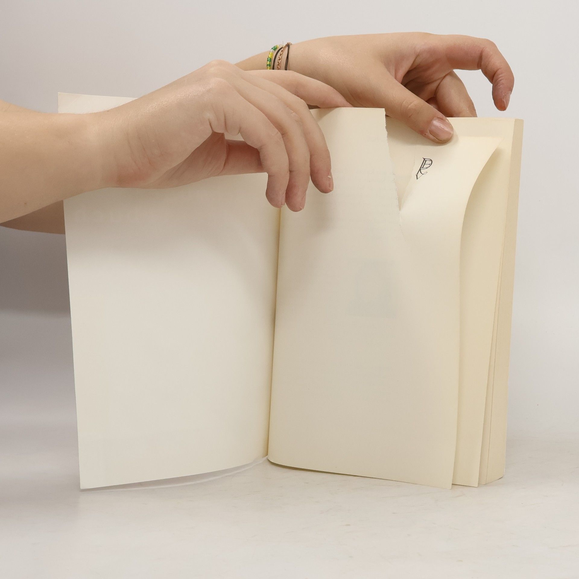 Cornelia Nitsch Das Schmuse- und Tröstebuch