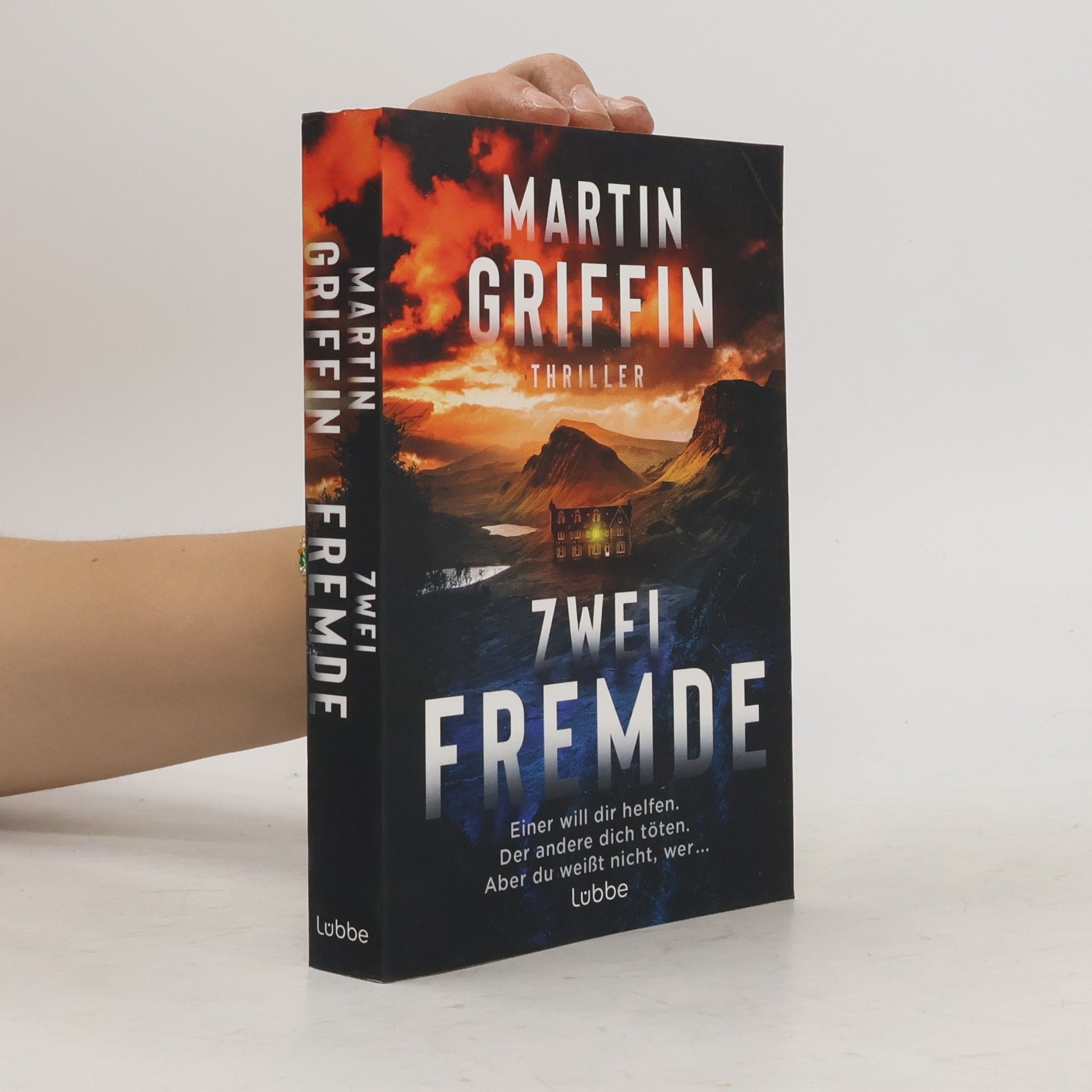 Martin Griffin Zwei Fremde