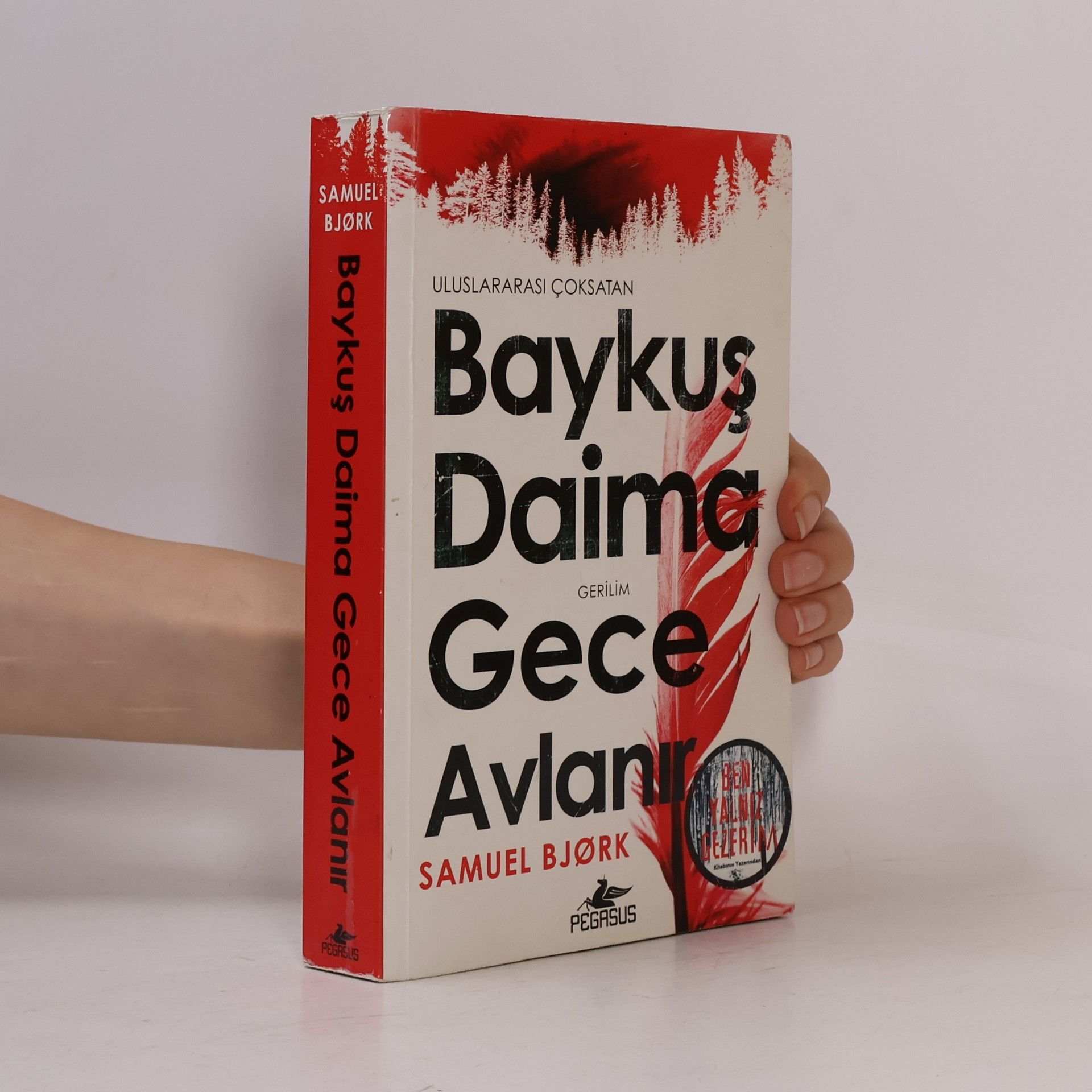 Baykuş Daima Gece Avlanır