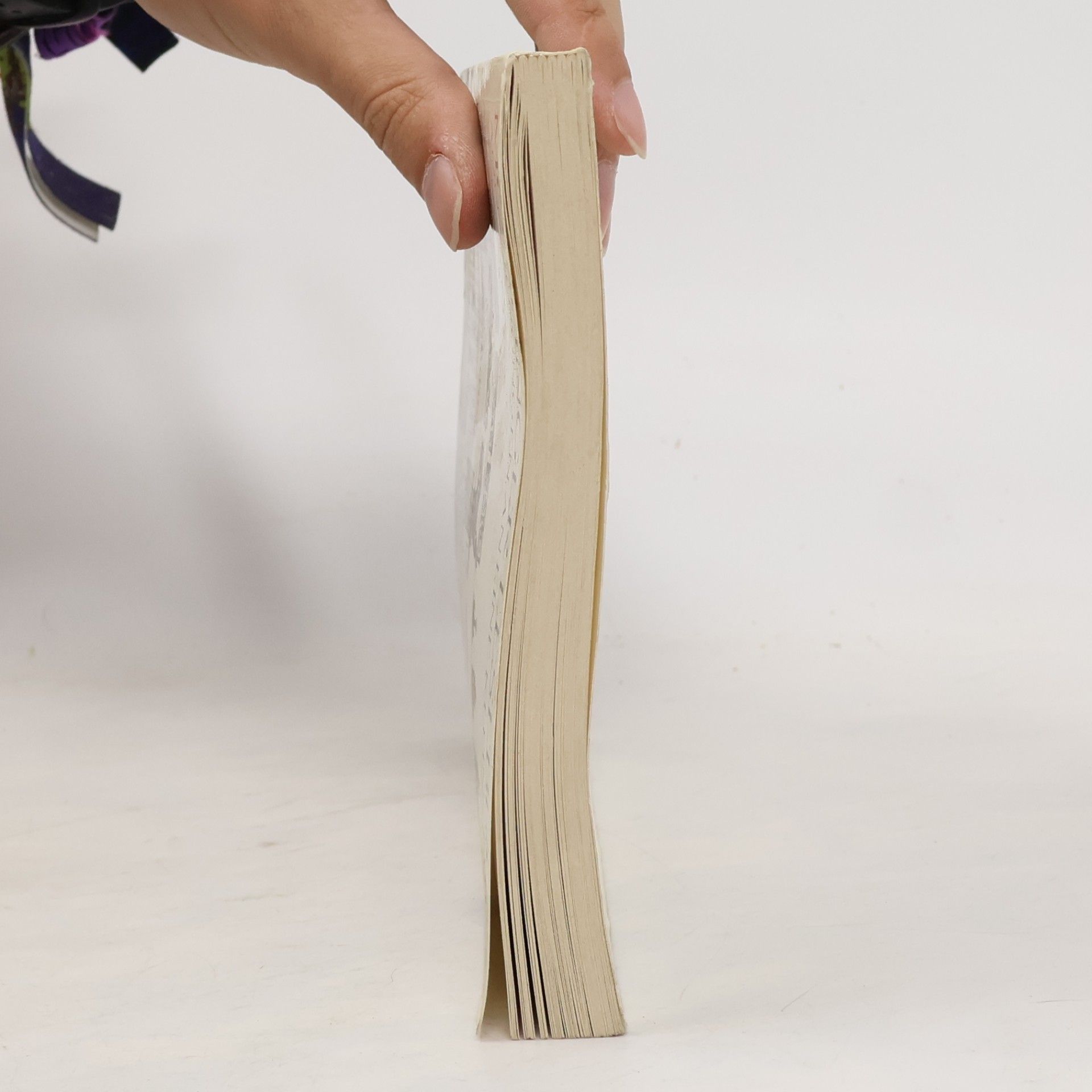Georg Bydlinski Mödlinger Lesebuch. Annäherungen an eine Kleinstadt