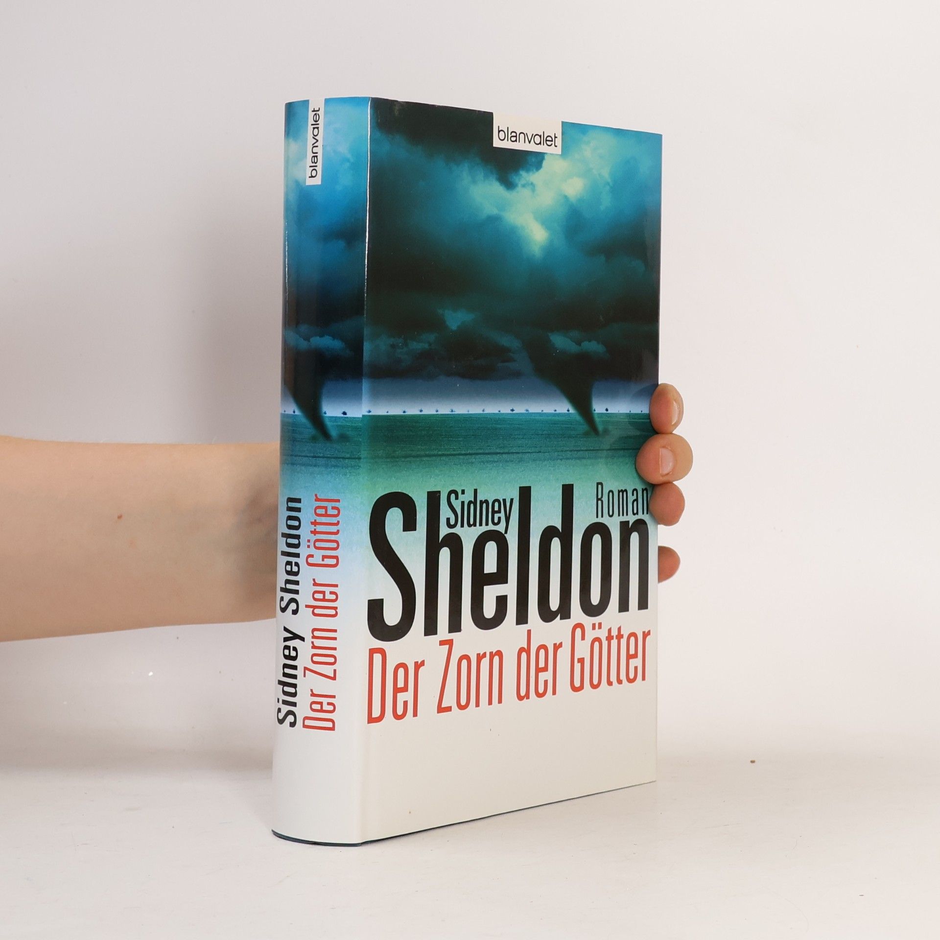 Sidney Sheldon Der Zorn der Götter