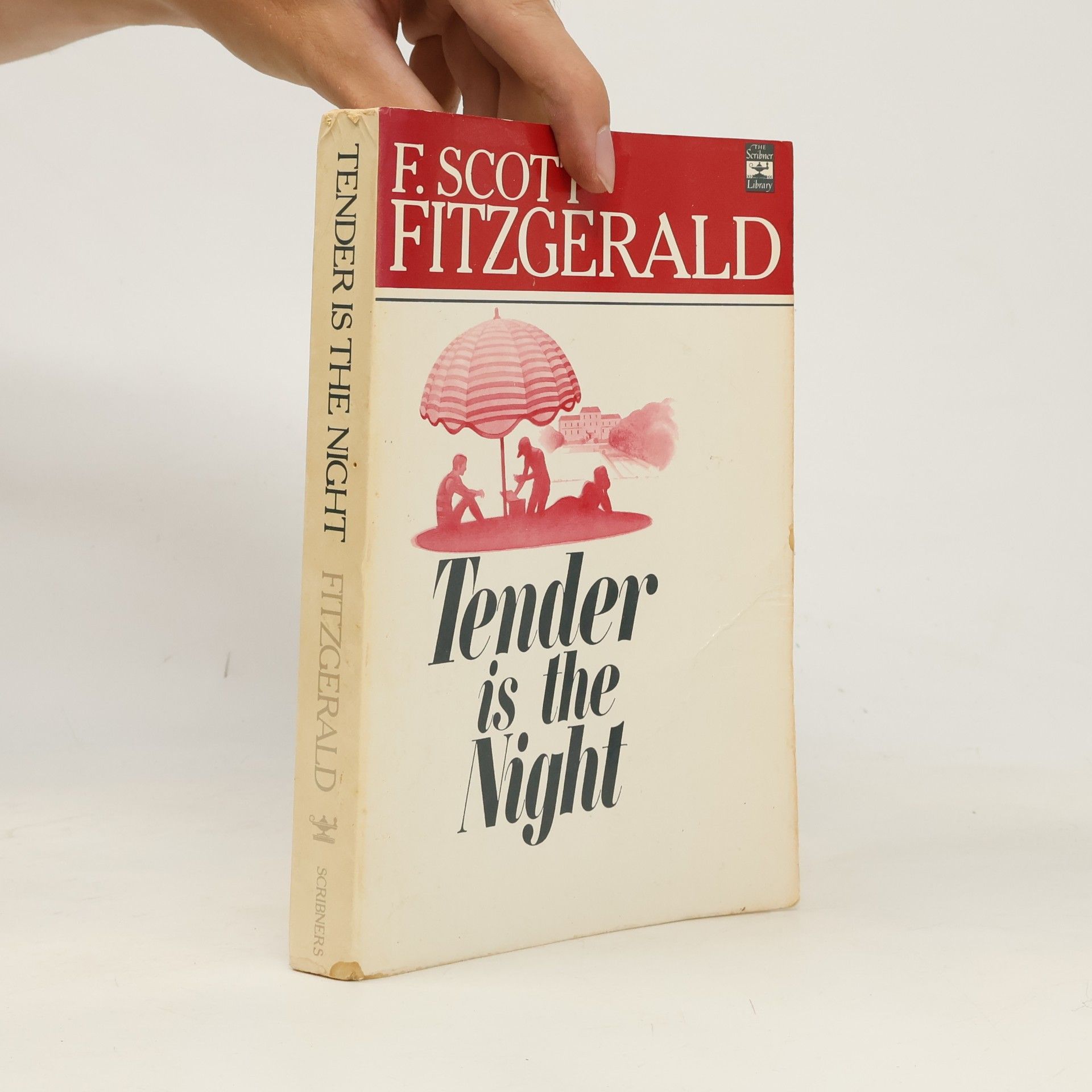Francis Scott Fitzgerald Tender is the night