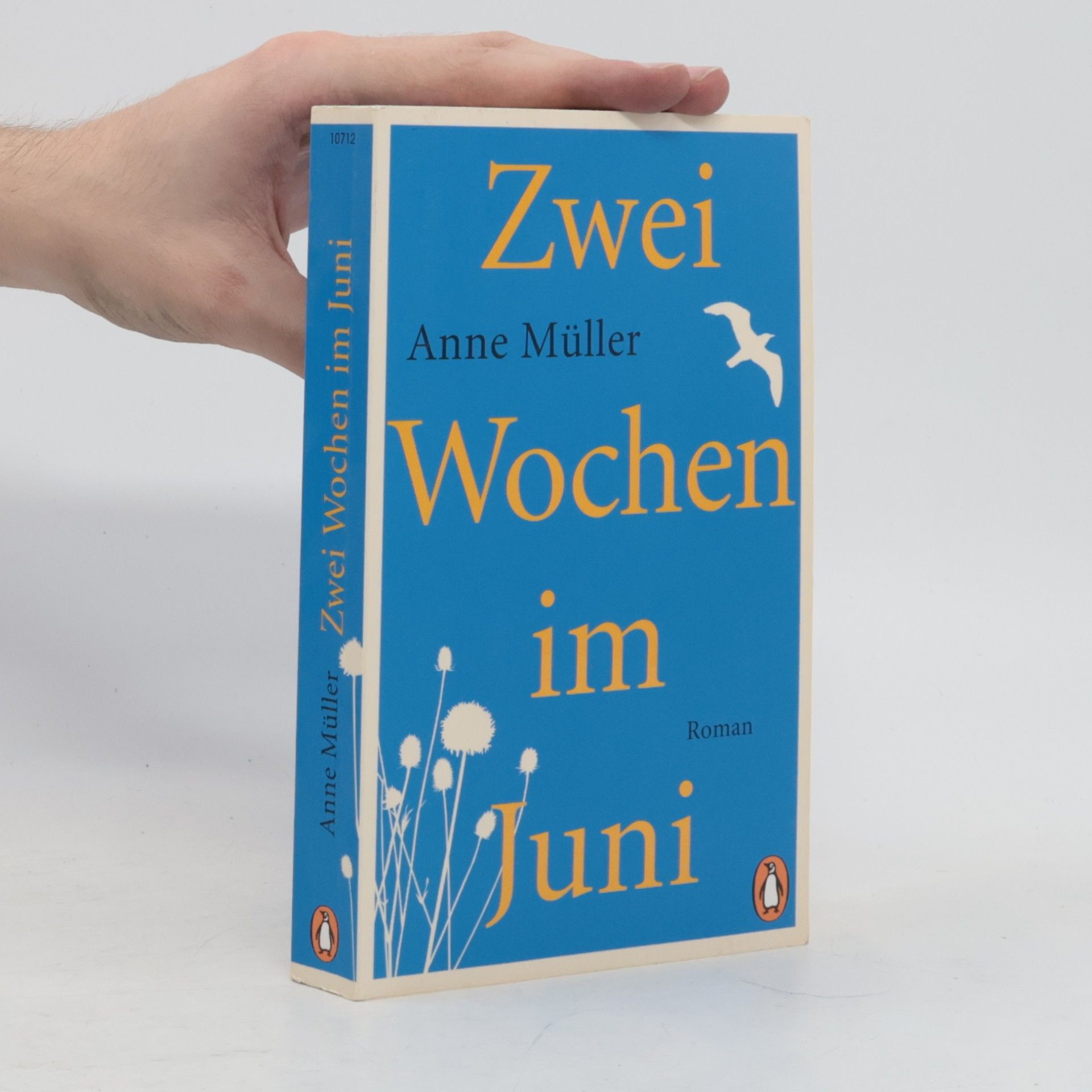 Anne Müller Zwei Wochen im Juni
