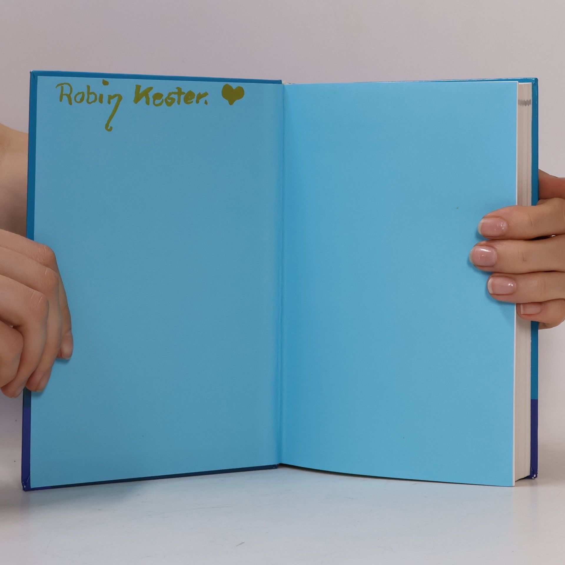 Anna-Maria Bodmer Das große Witzebuch