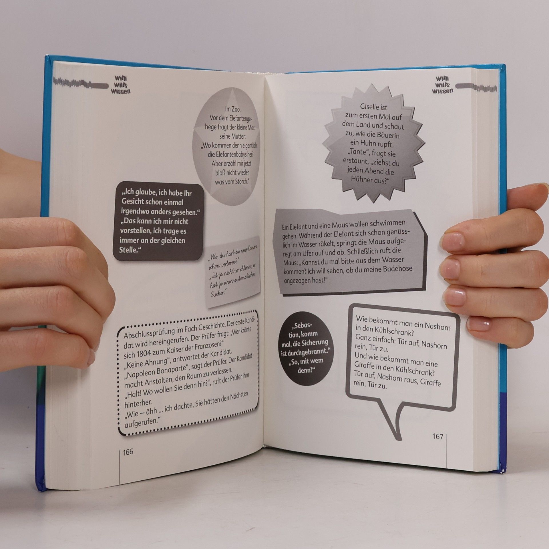 Anna-Maria Bodmer Das große Witzebuch