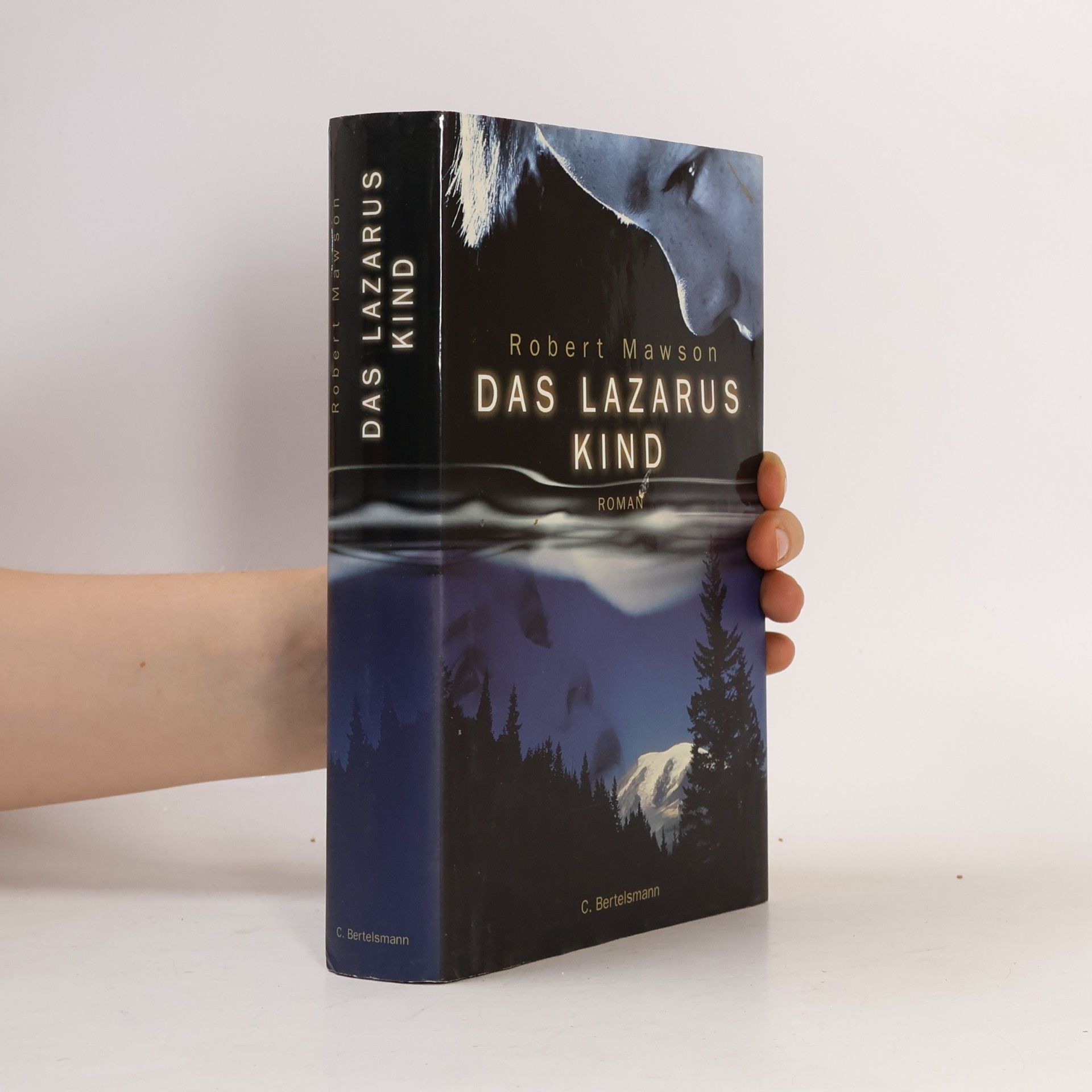 Robert Mawson Das Lazarus-Kind