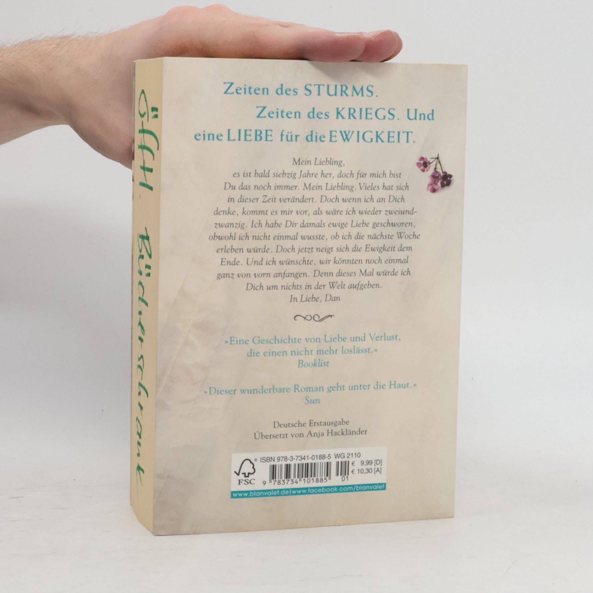 Iona Grey Als unsere Herzen fliegen lernten