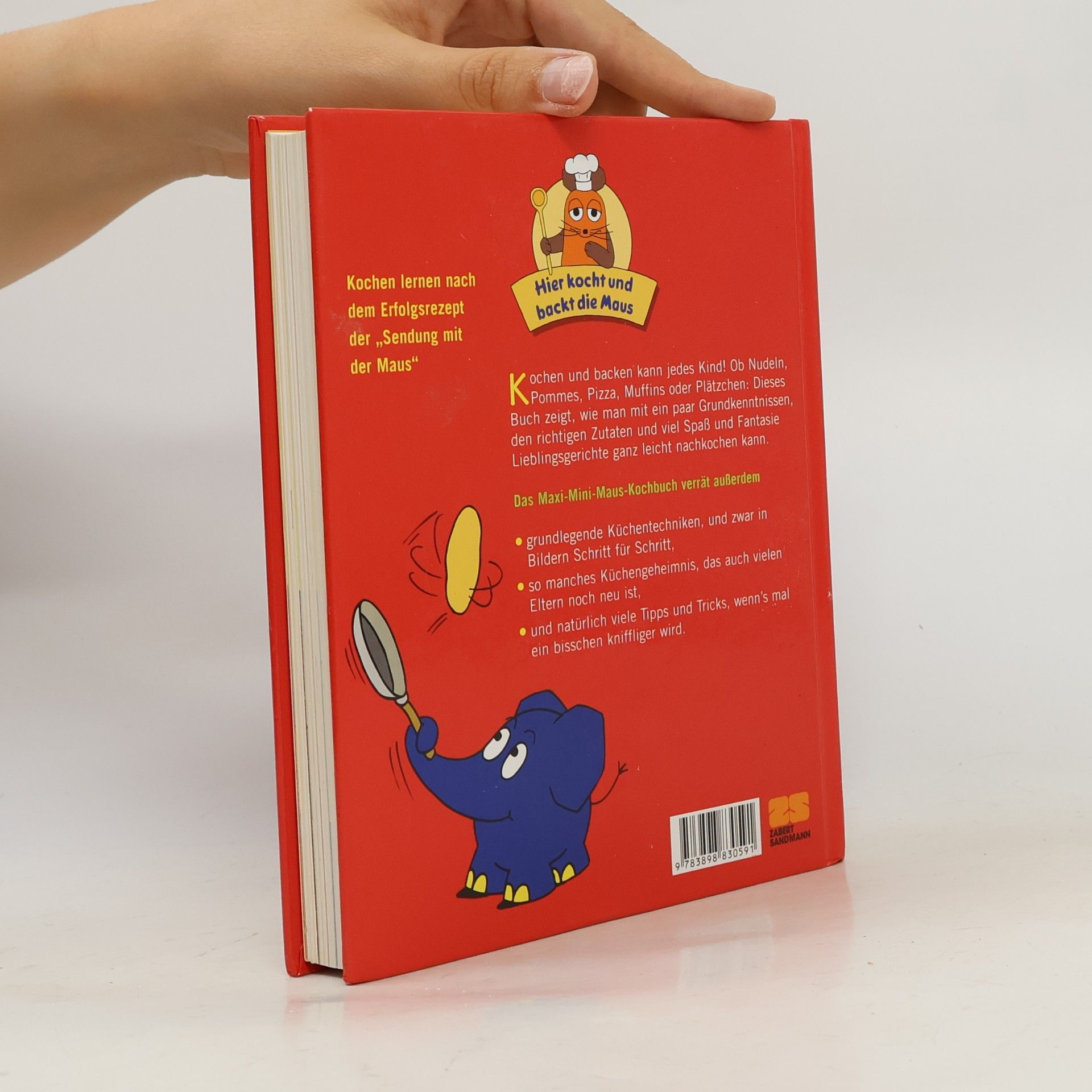 Julei M. Habisreutinger Das Maxi-Mini-Maus-Kochbuch