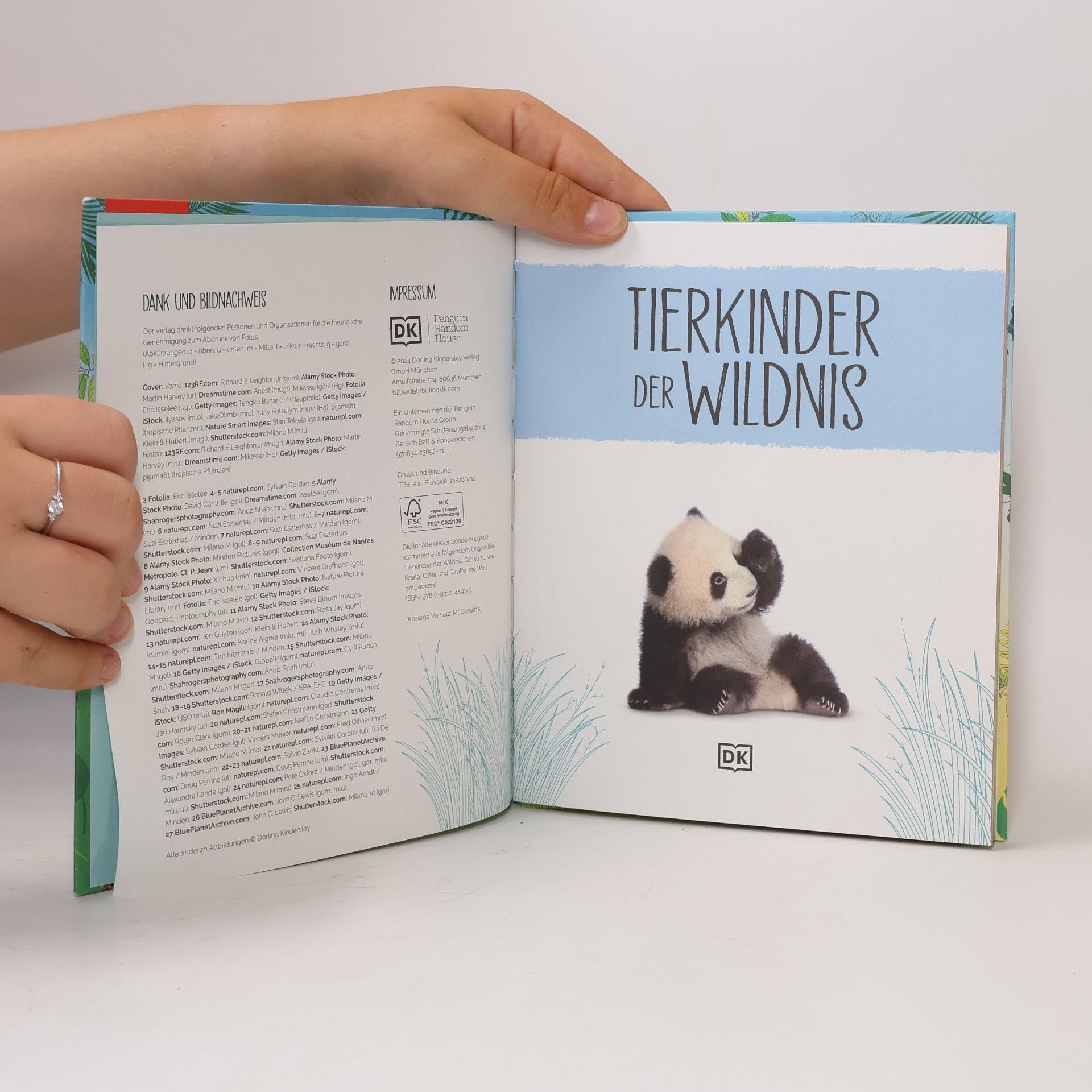 Collectif d'auteurs Tierkinde der Wildnis