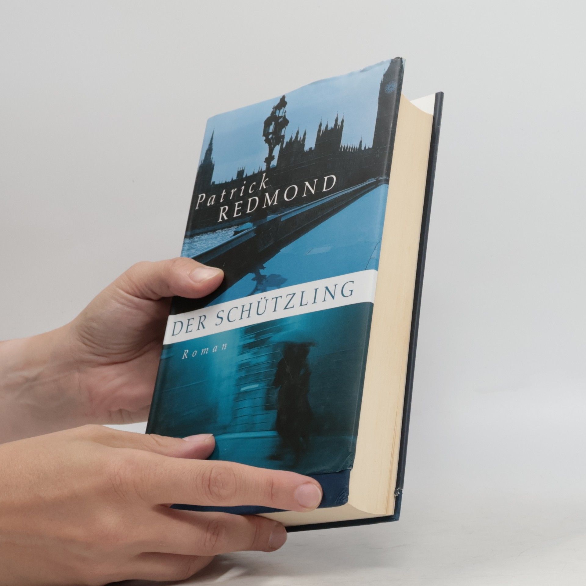 Patrick Redmond Der Schützling