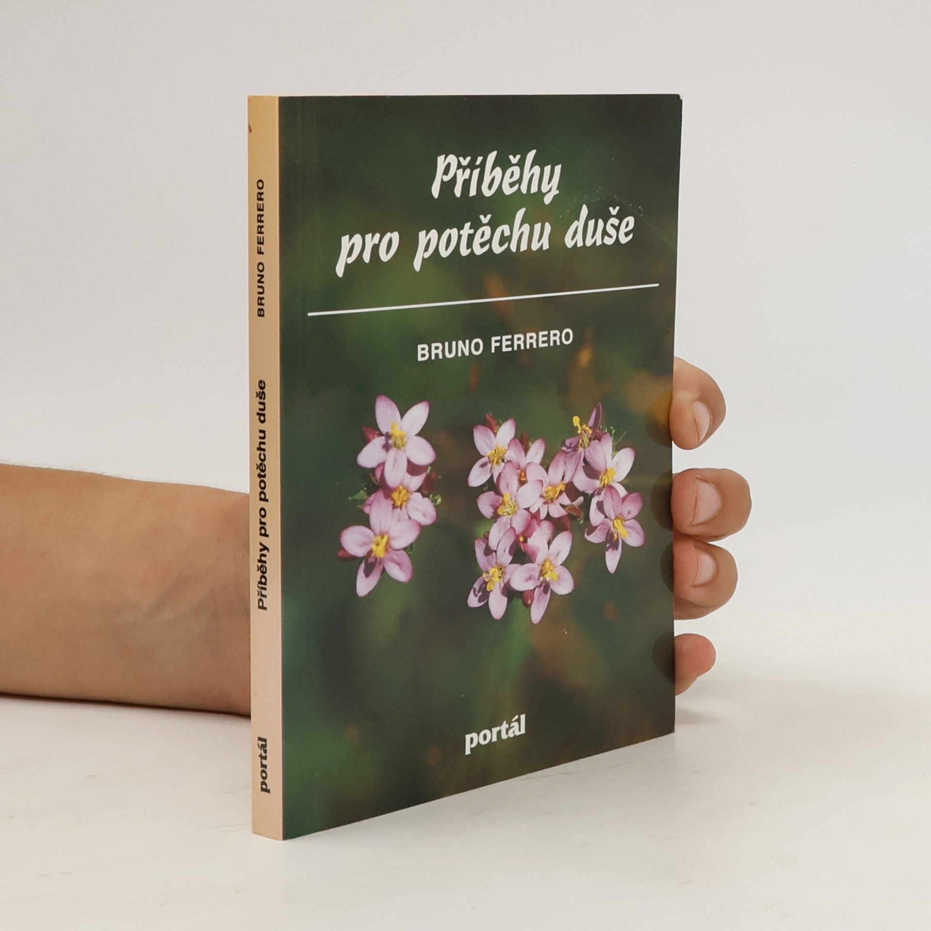 Bruno Ferrero Příběhy pro potěchu duše