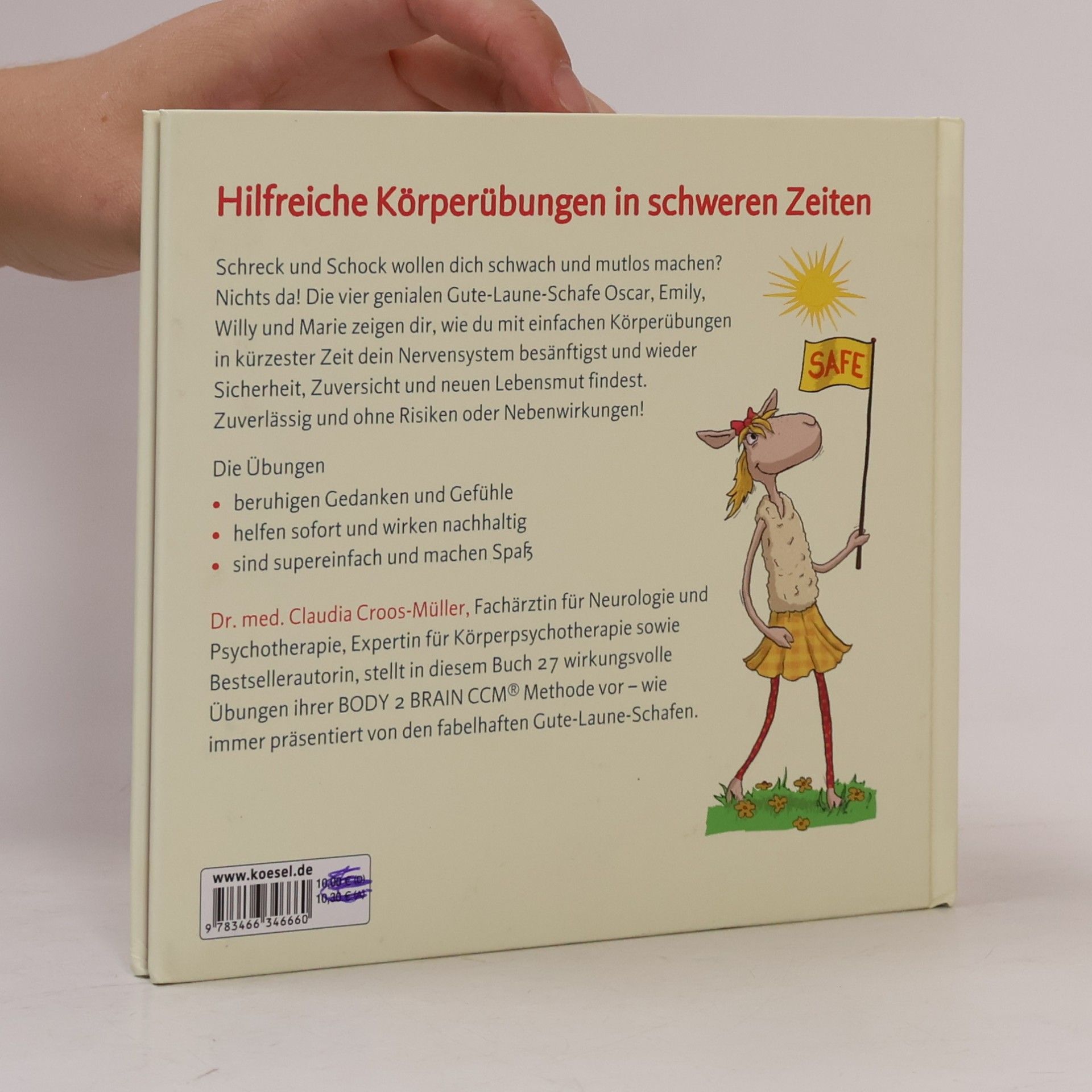 Claudia Croos-Müller Alles gut - das kleine Überlebensbuch