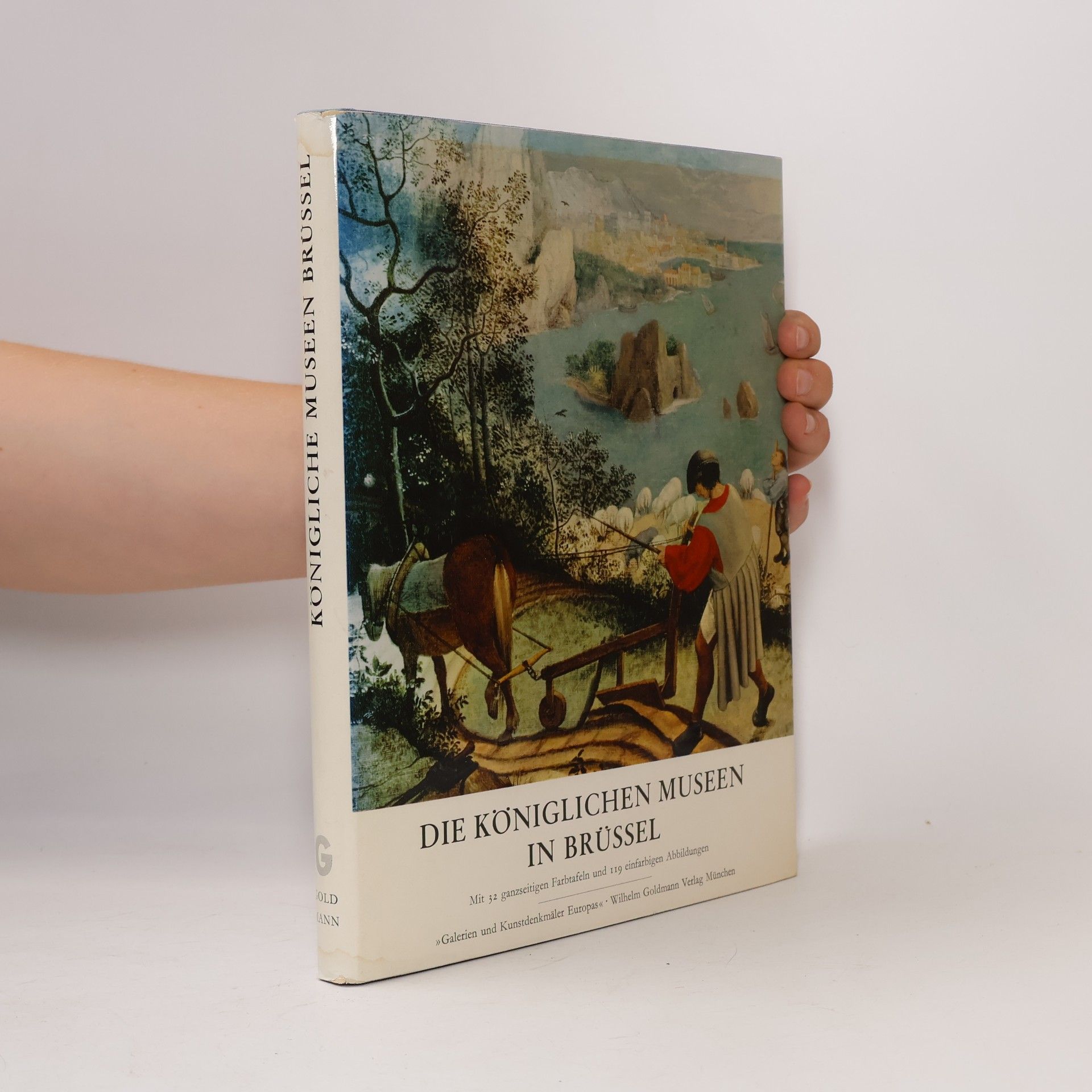 Autorenkollektiv Die königlichen Museen in Brüssel