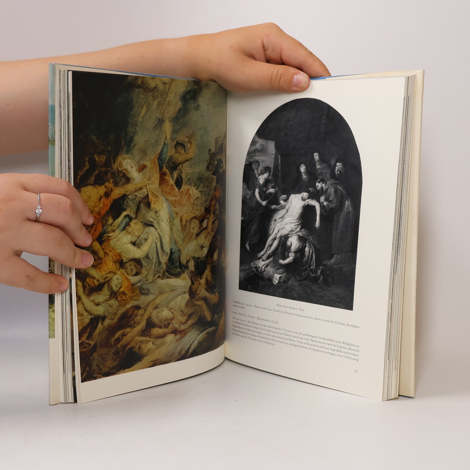 Autorenkollektiv Die königlichen Museen in Brüssel