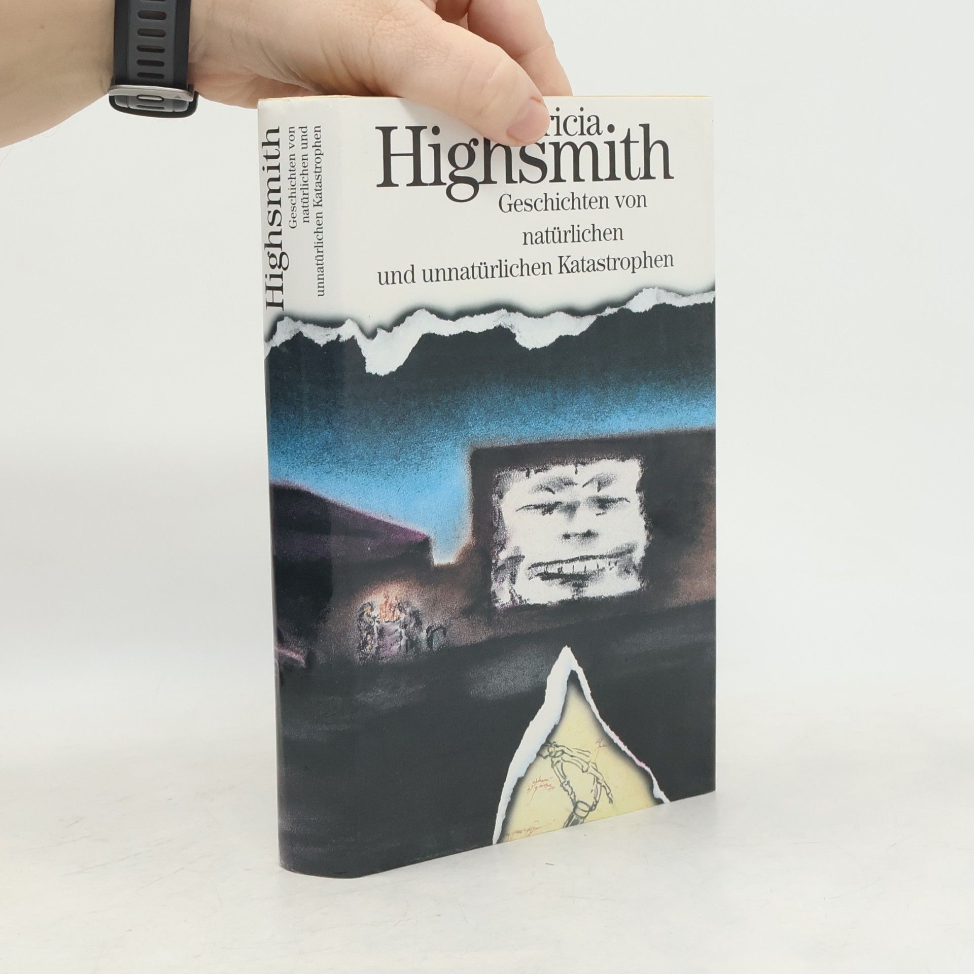 Patricia Highsmith Geschichten von natürlichen und unnatürlichen Katastrophen